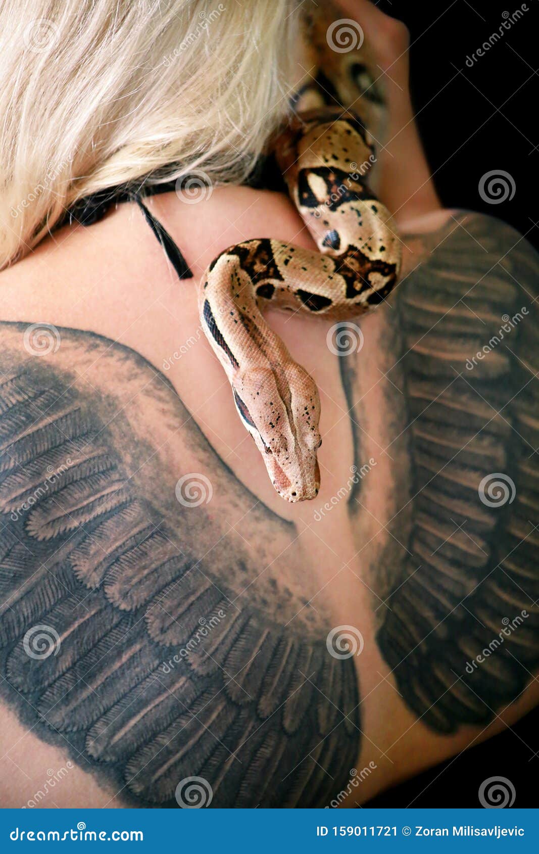 boa constrictor tattoo