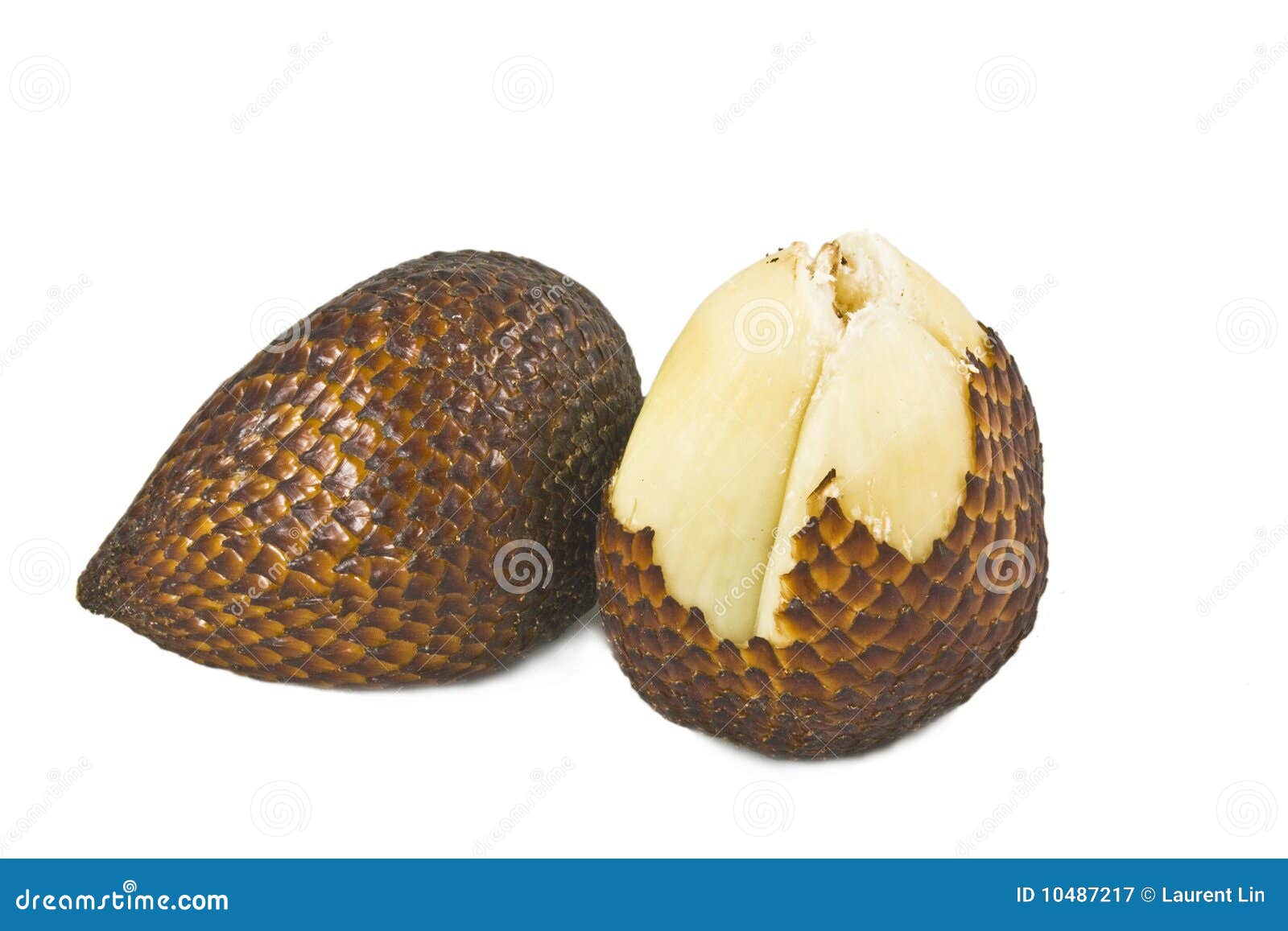 Snake Fruits stock image. Image of nature, nutritious 10487217
