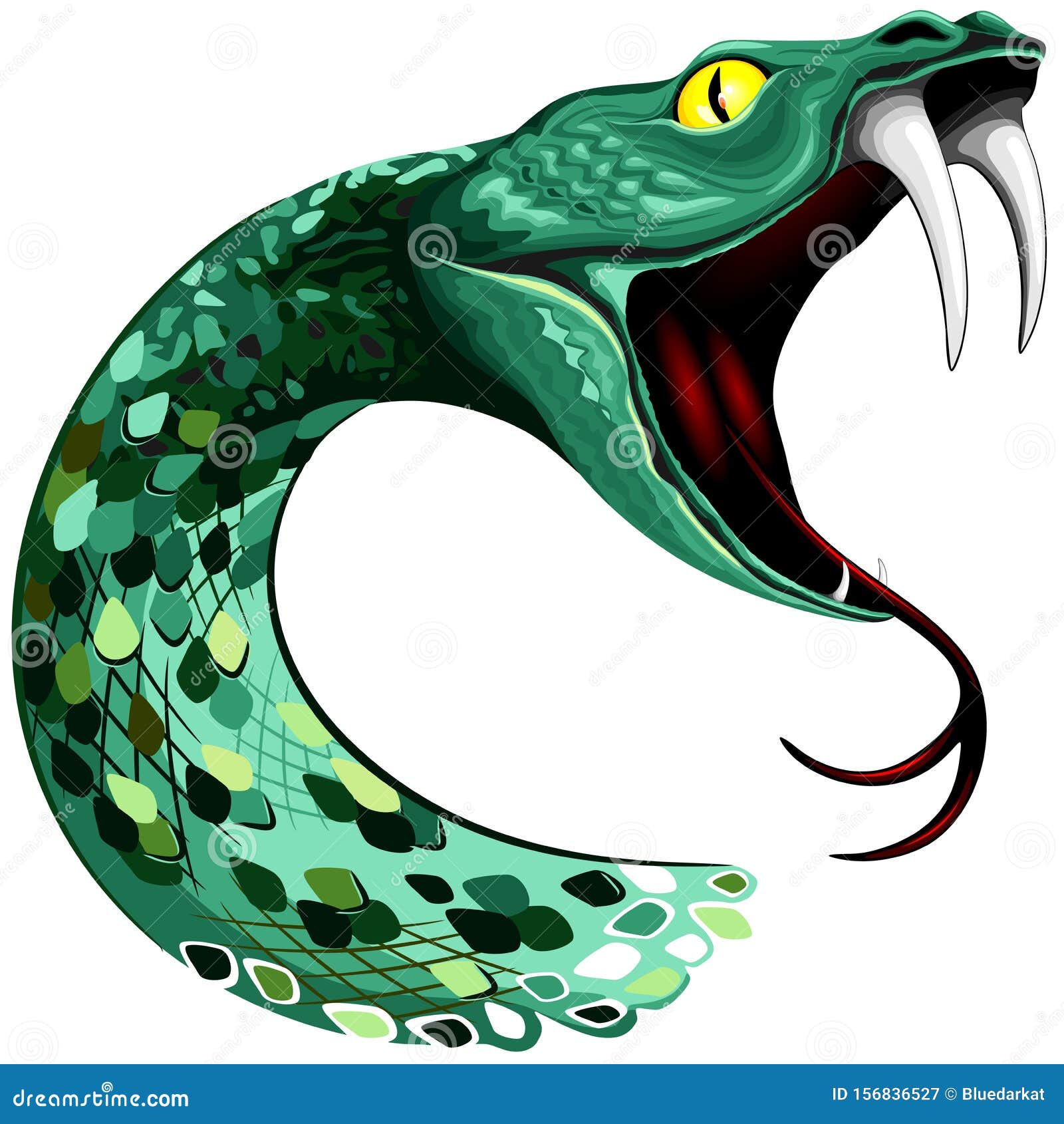 Snake Head With Big Fangs On Open Mouth Vector Illustration Isolated On