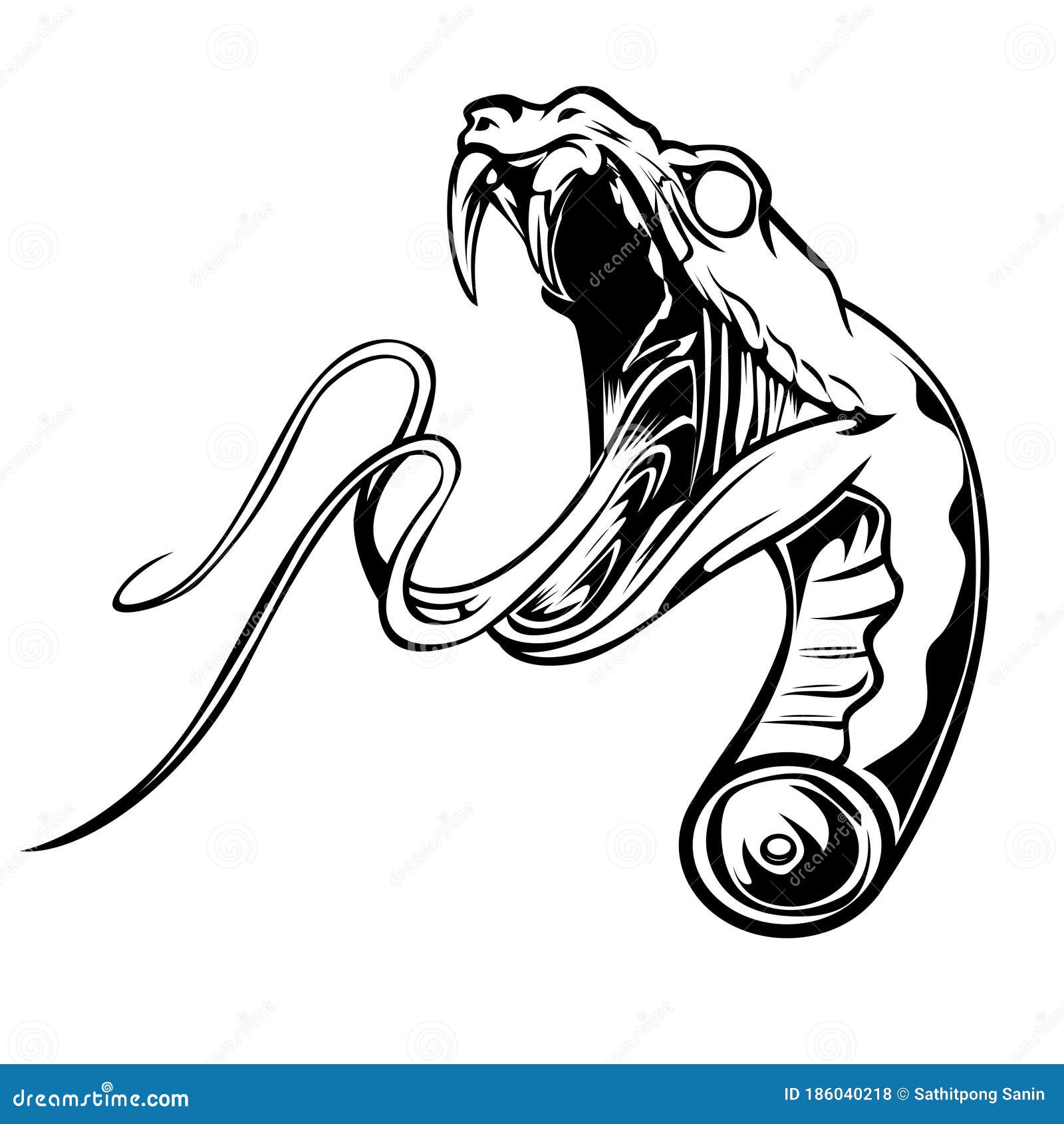 Featured image of post Cobra Snake Head Drawing Front View How to draw a cobra snake in a tribal tattoo design style