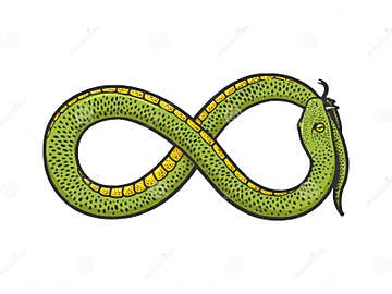 Snake Infinity Sign Sketch Vector Illustration Stock Vector ...