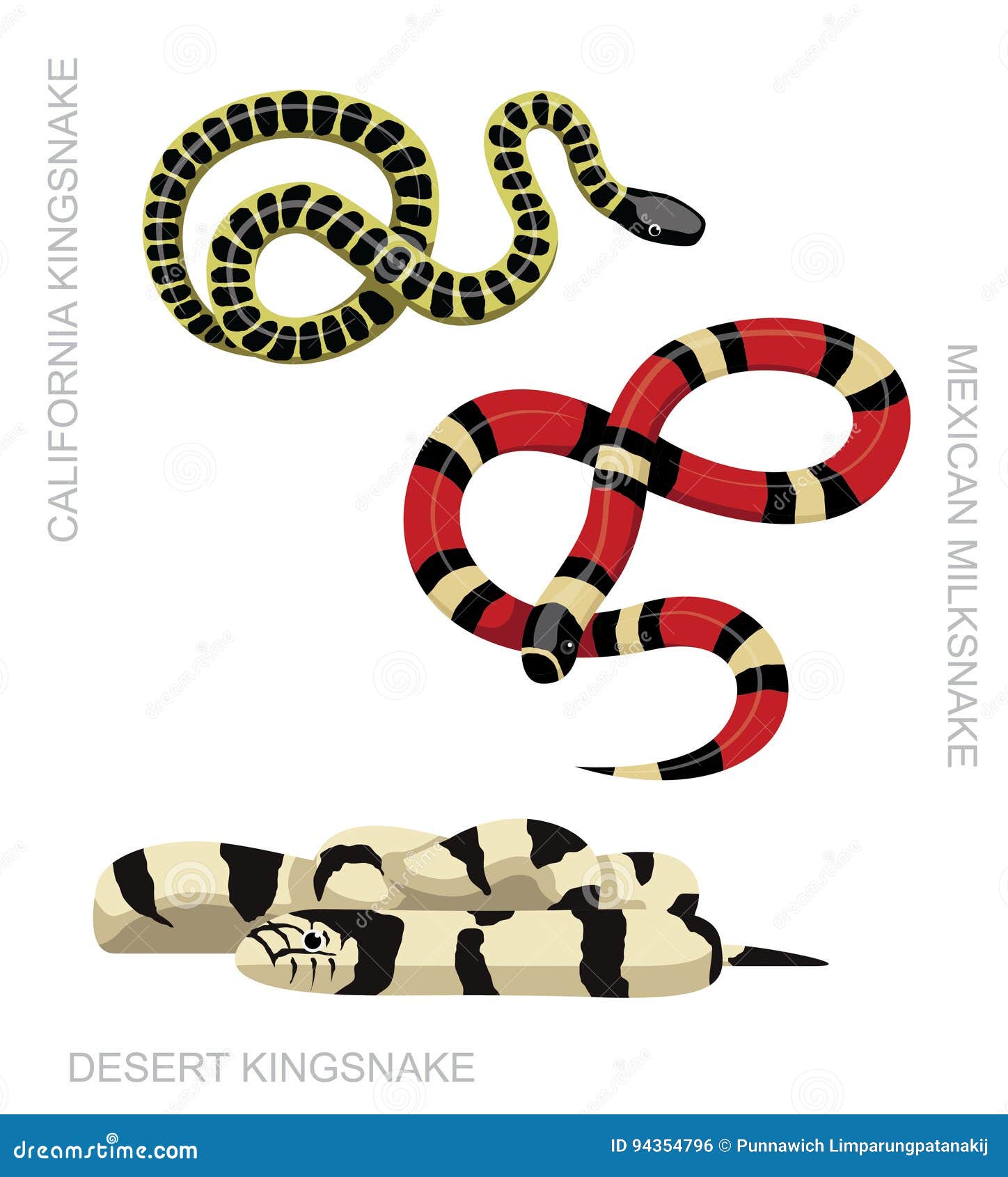 Snake Kingsnake Set Cartoon Vector Illustration Stock Vector - Illustration  of reptile, american: 94354796
