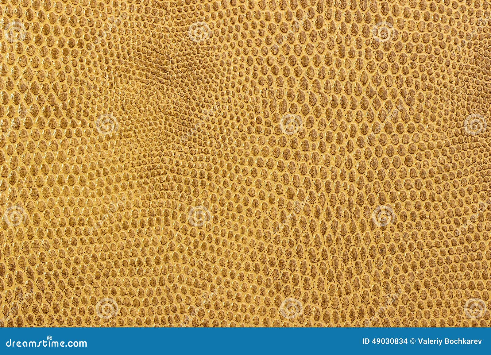 Snake Leather Skin Imitation Stock Photo Image of grained, imitation