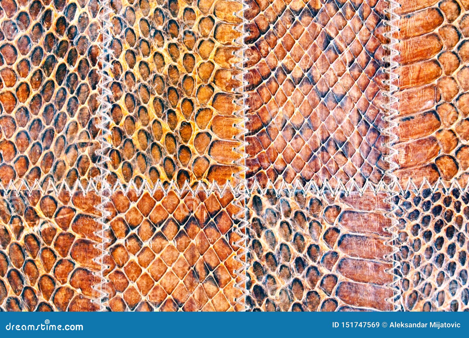 Snake leather texture stock image. Image of cowhide 151747569