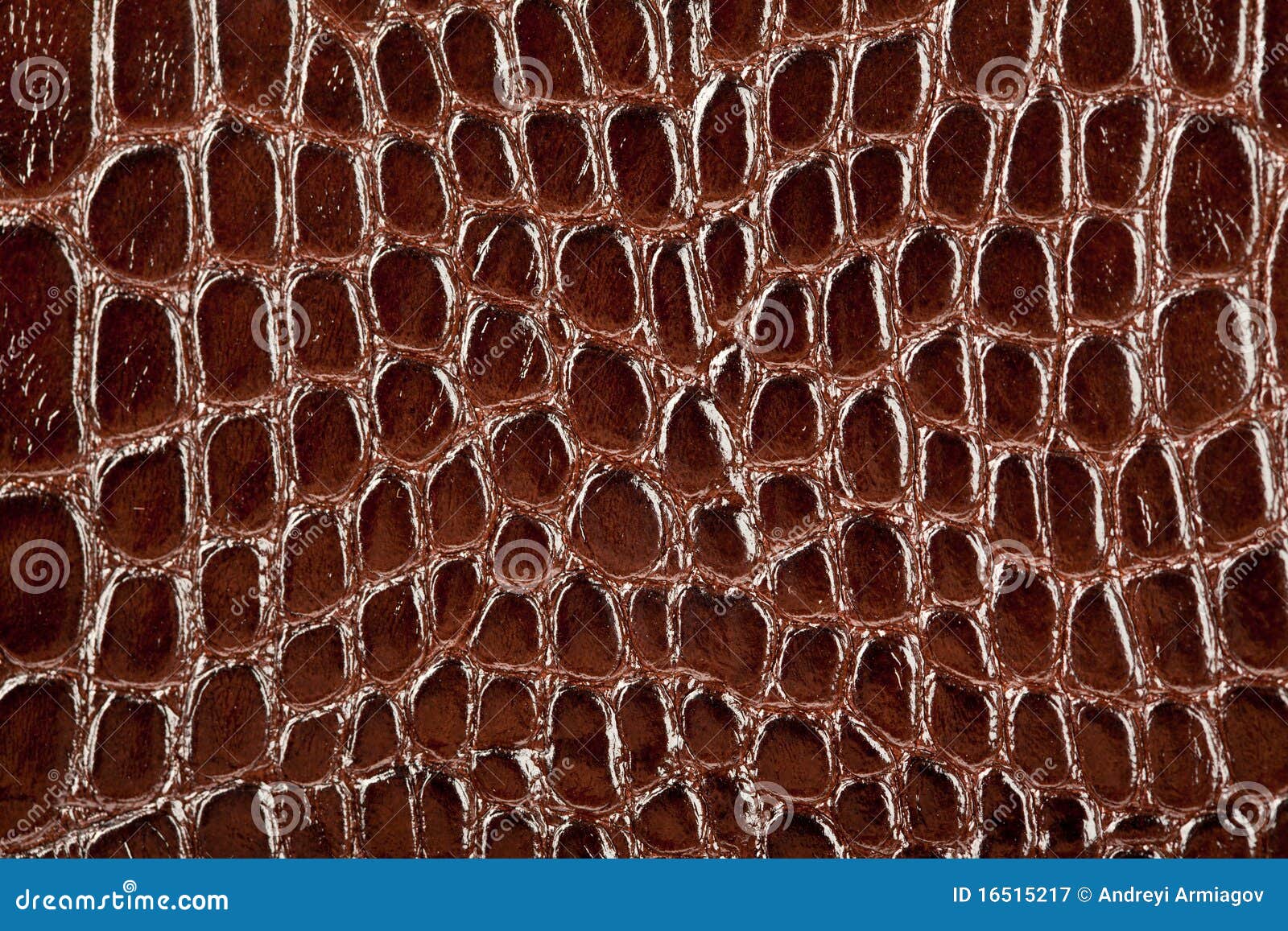 Snake leather texture stock image. Image of natural, skin 16515217