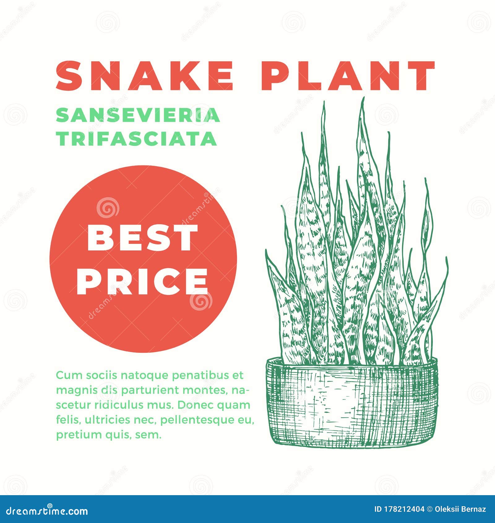 snake plant abstract  sign or label template. hand drawn potted grass leaf sillhouette with modern typography home