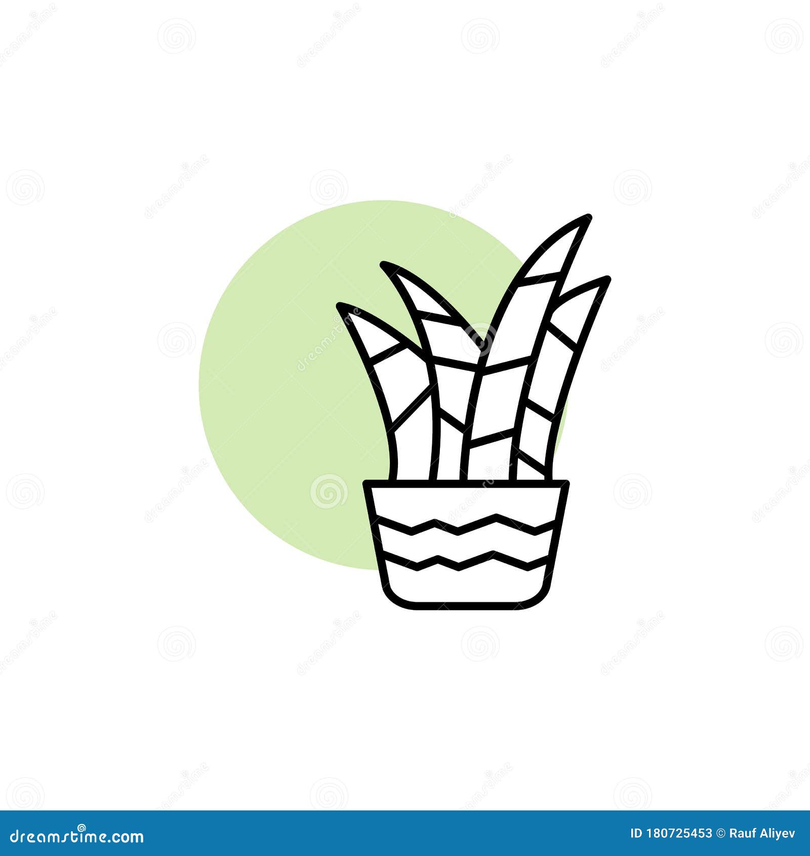 Premium Vector | One continuous line drawing of potted snake plant fresh  evergreen perennial plant draw vector