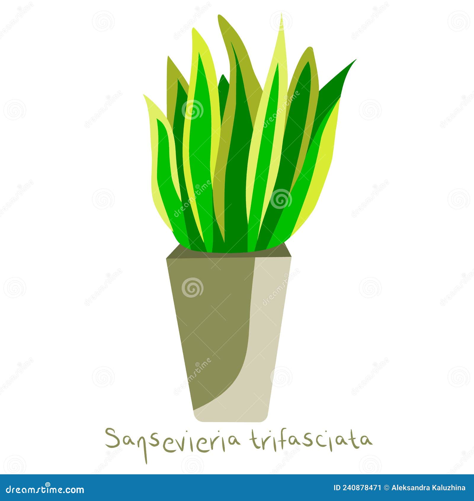 Seamless Pattern Of Outline Sansevieria Or Snake Plant. Royalty Free SVG,  Cliparts, Vectors, and Stock Illustration. Image 132290281.
