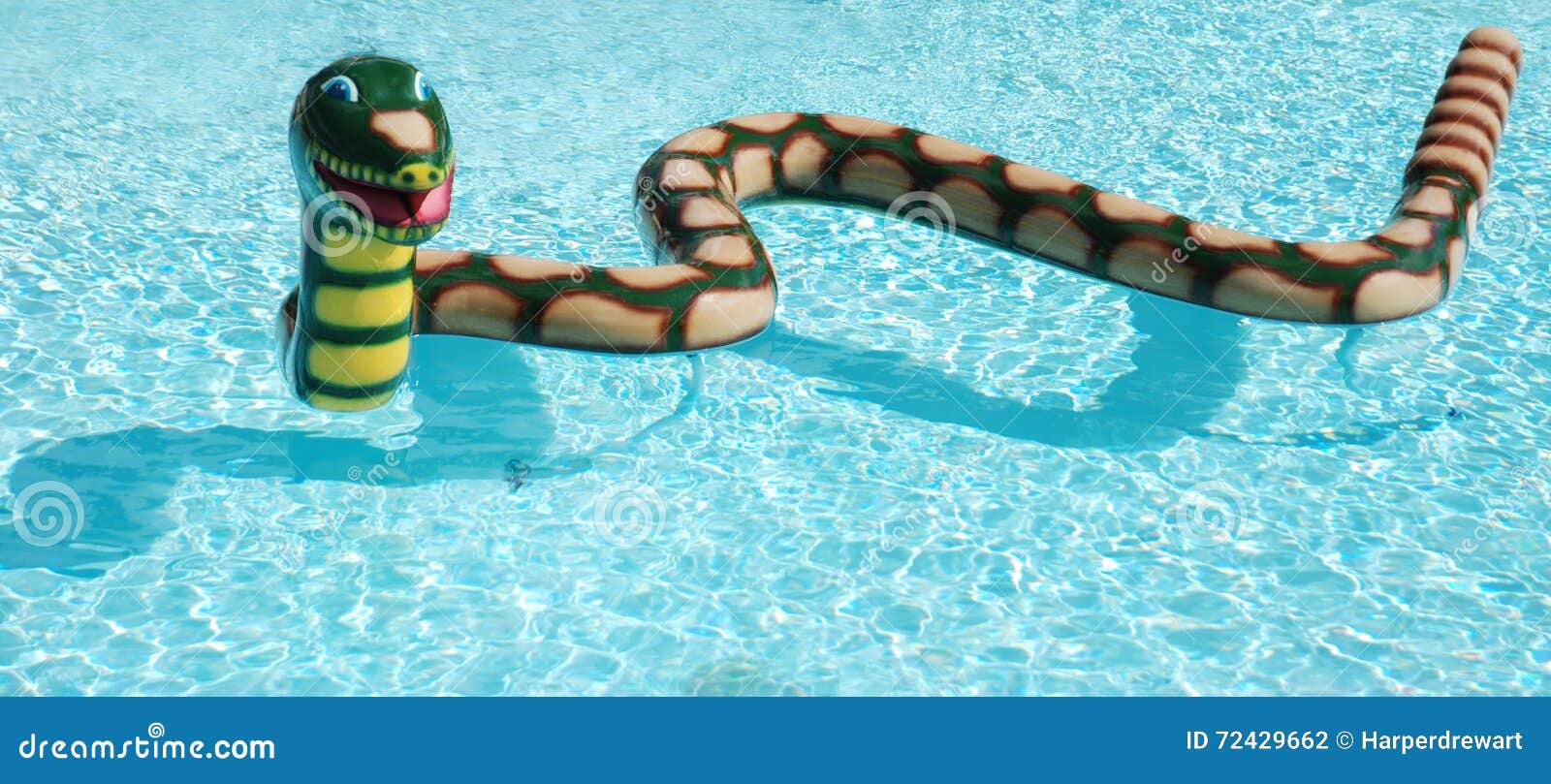 snake pool float