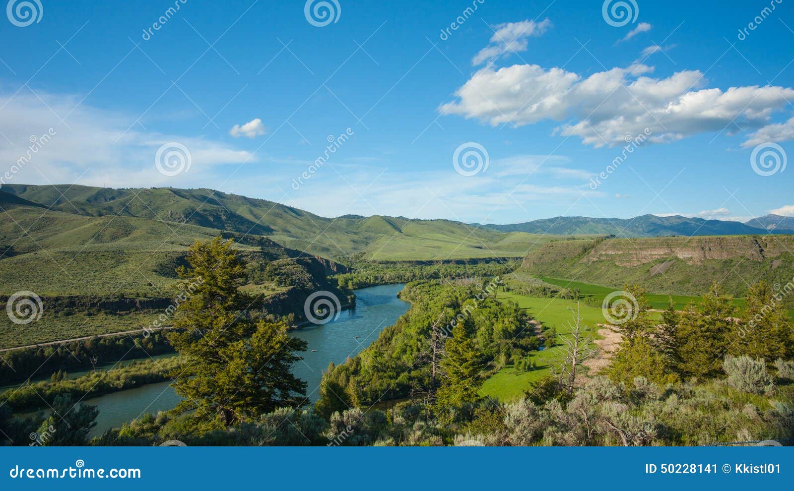 Snake River in Idaho stock image. Image of eastern, woodland 50228141