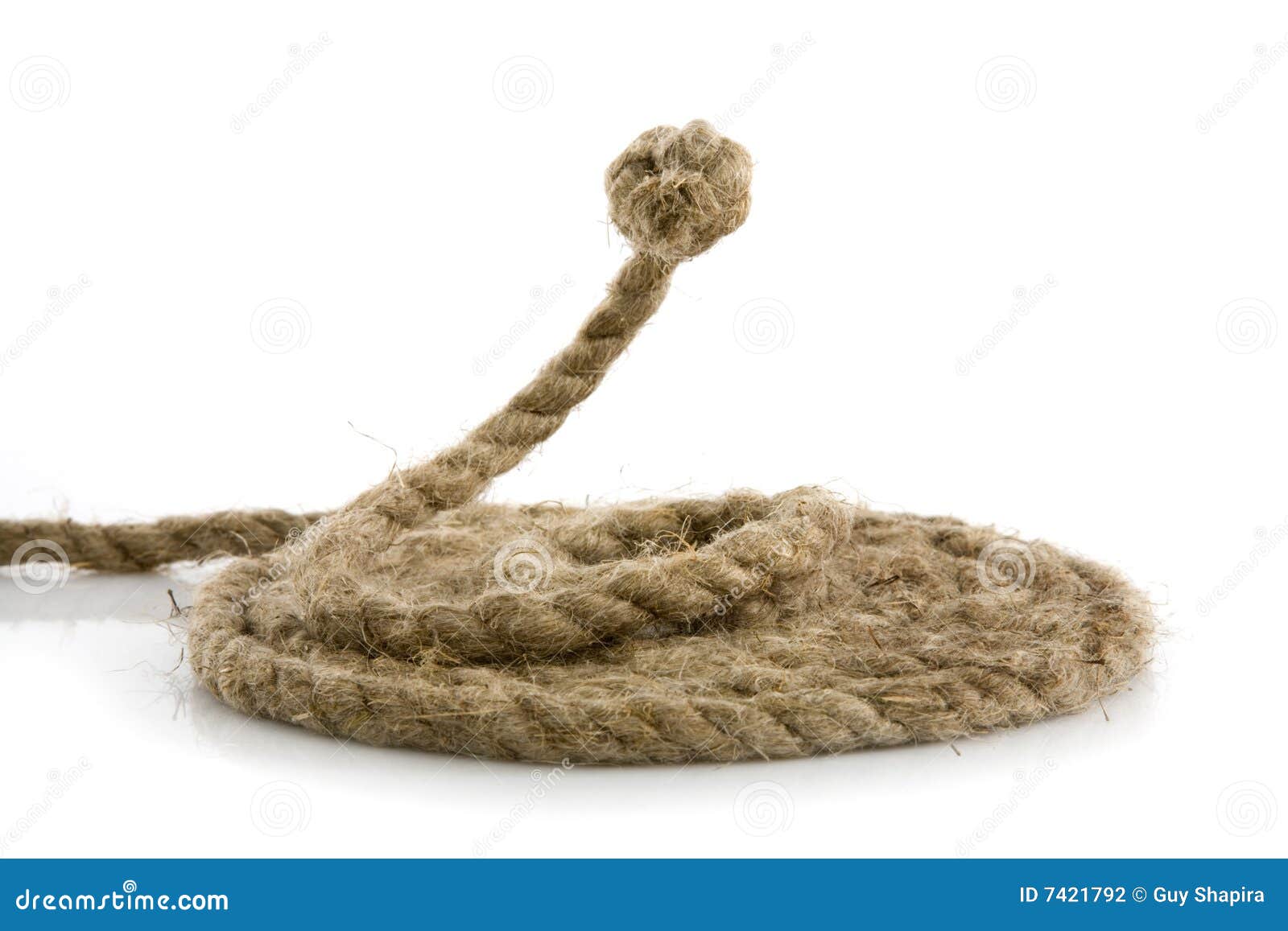 Snake from rope on white stock photo. Image of effort 7421792