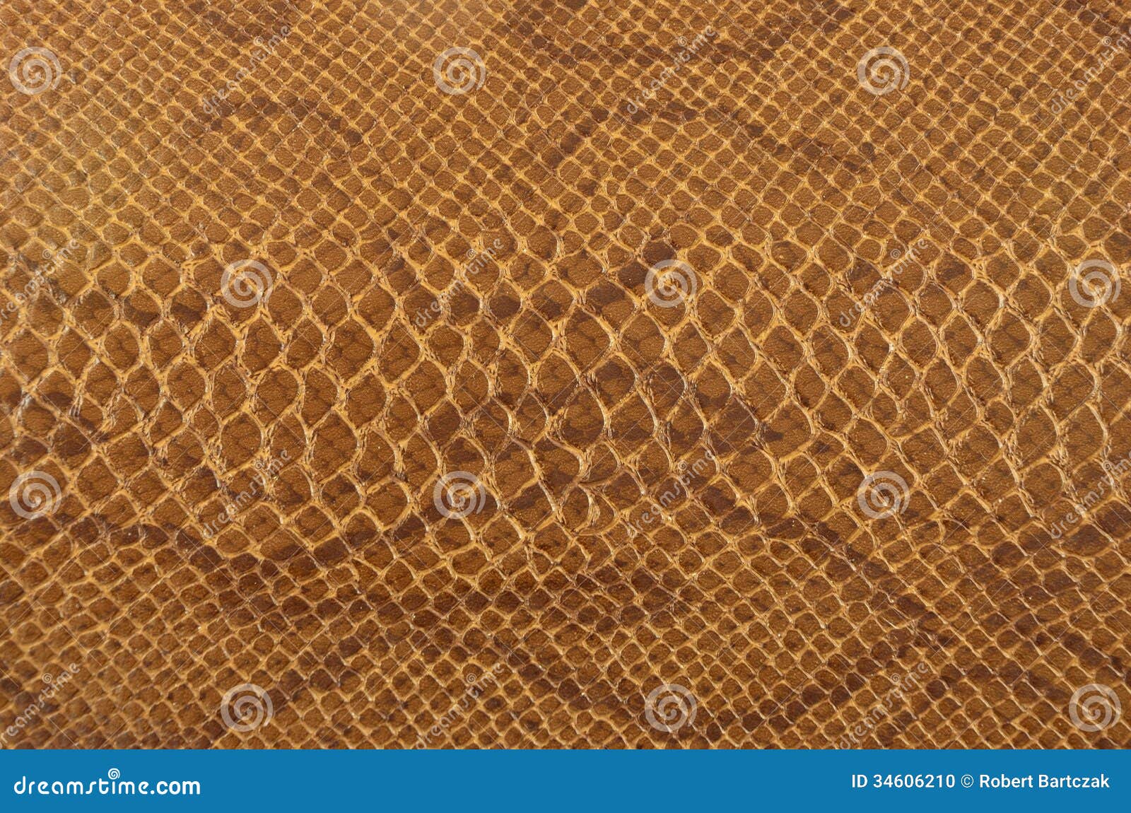 65,015 Animal Skin Texture Stock Photos - Free & Royalty-Free Stock Photos from Dreamstime 65,015 Animal Skin Texture Stock Photos - Free & Royalty-Free Stock Photos from Dreamstime
