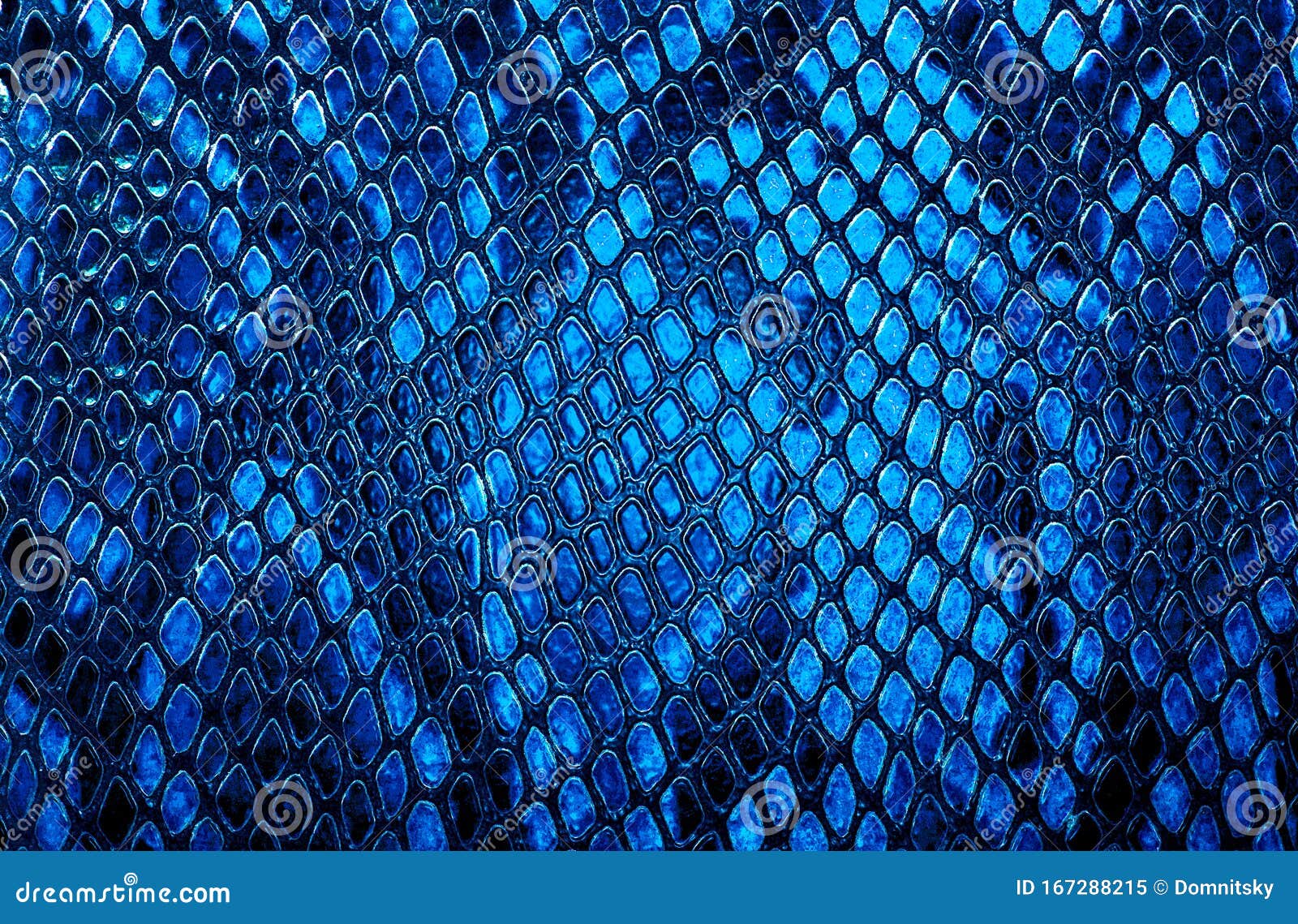 Snake skin background stock image. Image of blue, contrast - 167288215