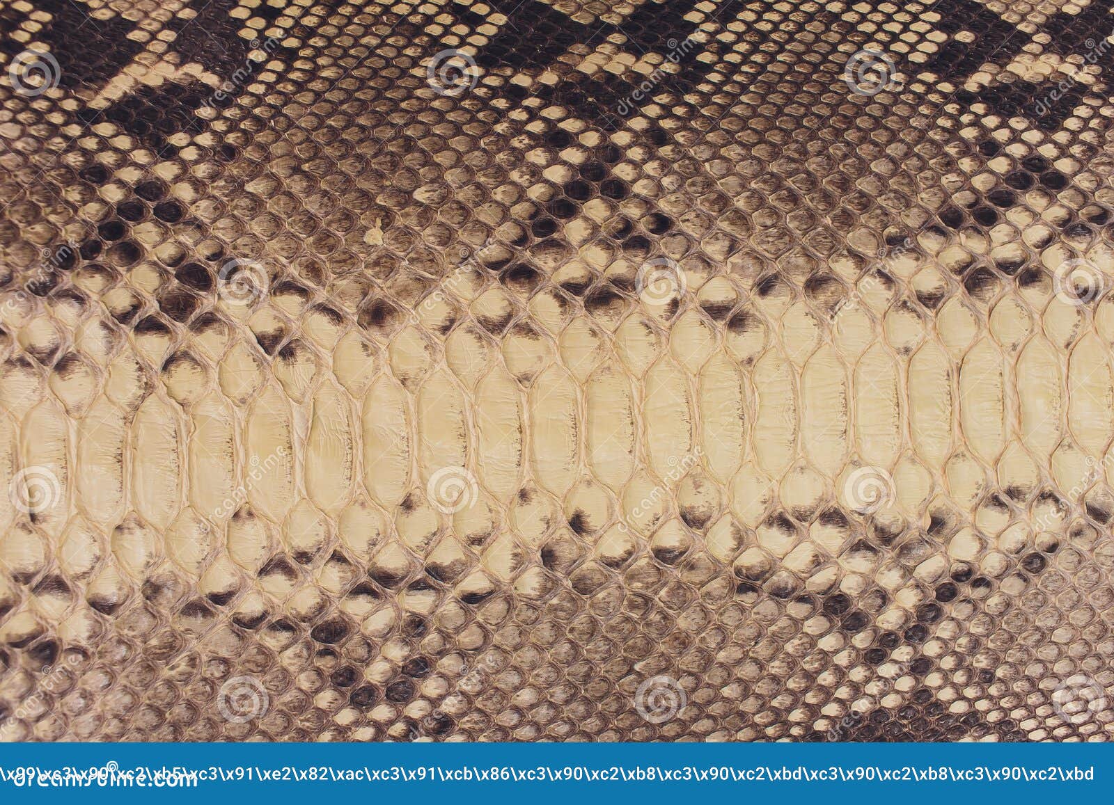 classic snake skin classic snake skin