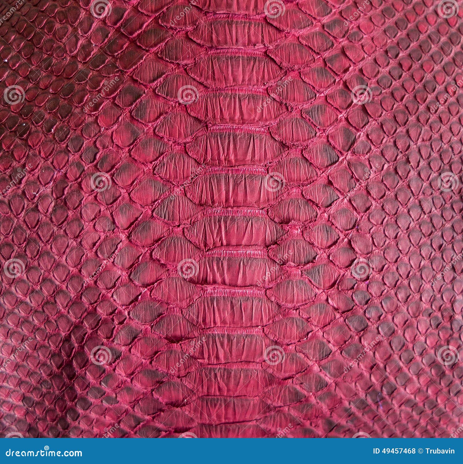 Snake skin stock photo. Image of brown, rough, patterned - 49457468