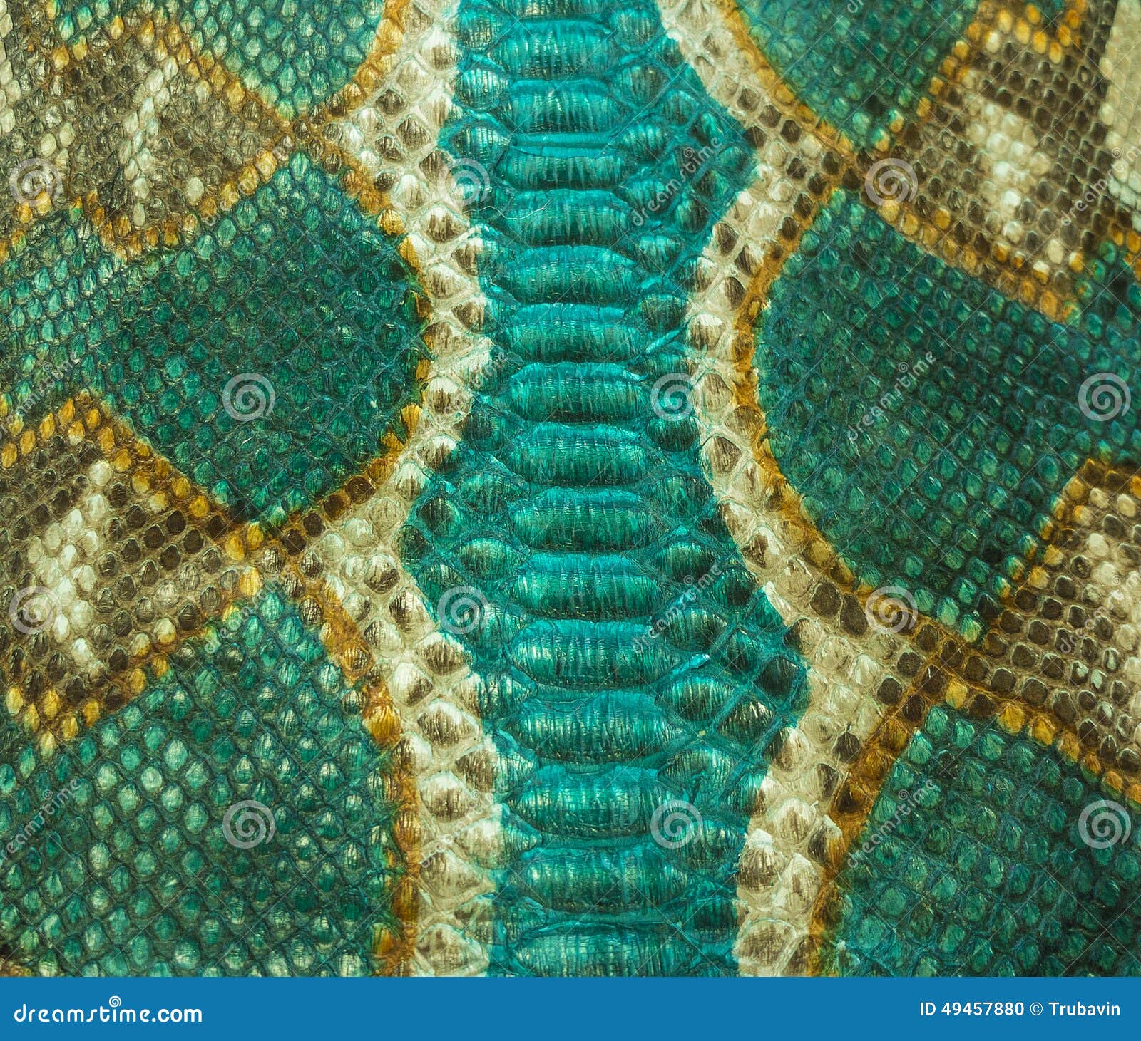 Snake skin stock photo. Image of brown, green, skin, horizontal - 49457880