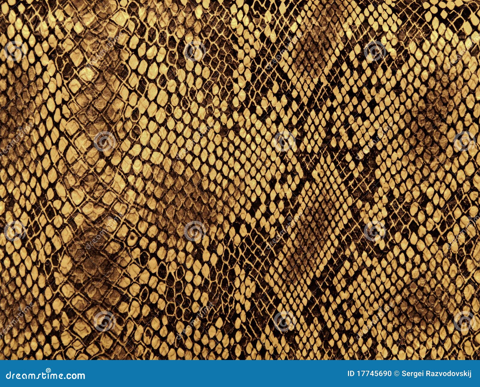 snake skin pattern