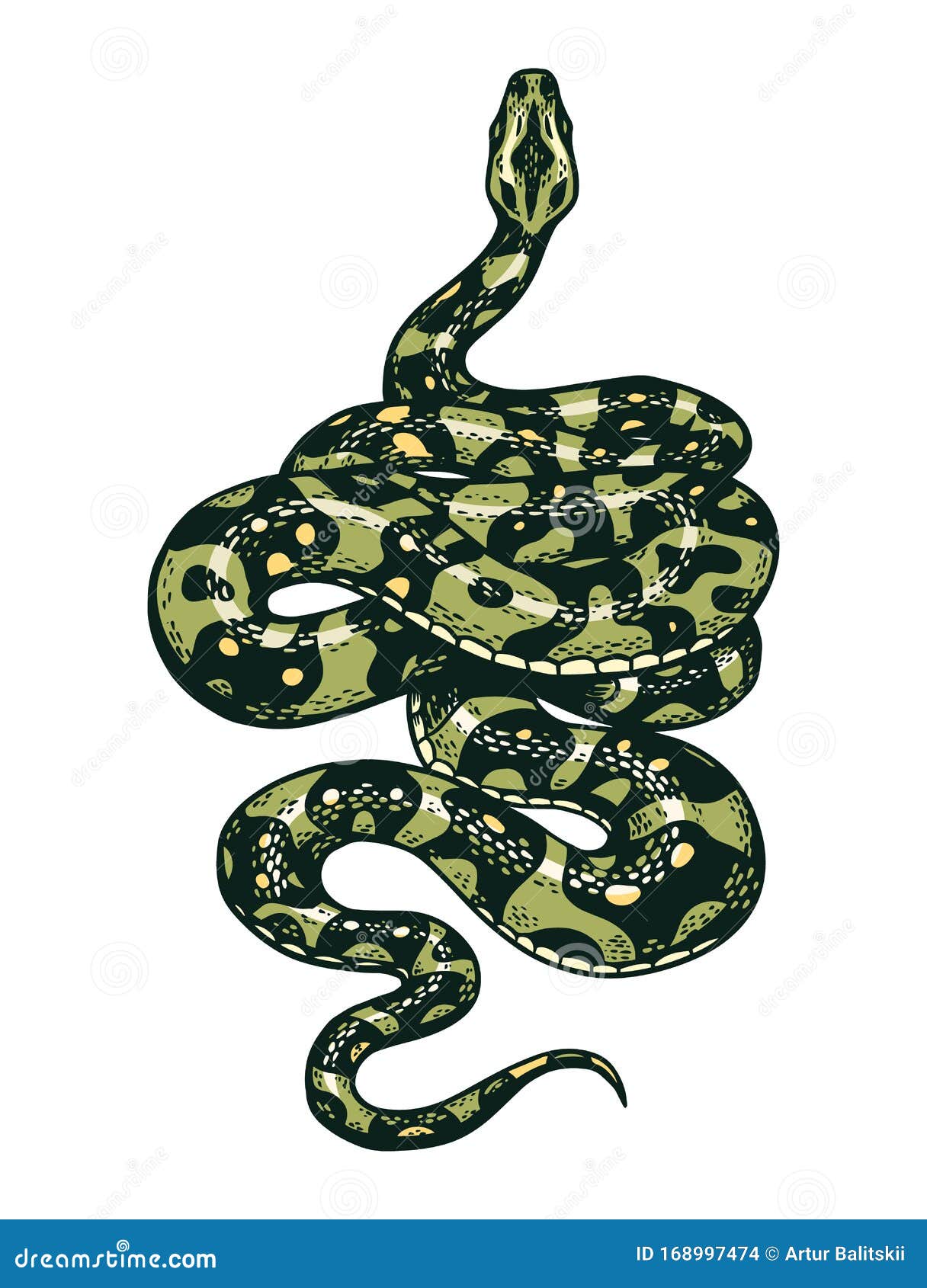 Snake in Vintage Style. Serpent Cobra or Python or Poisonous Viper Stock  Vector - Illustration of danger, fang: 168997474