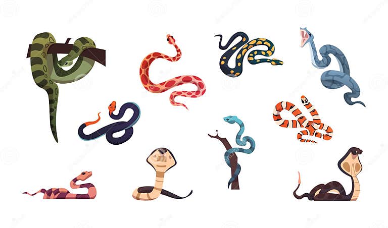 Snakes. Poison Reptiles Collection. Cartoon Wild Nature Cold-blooded