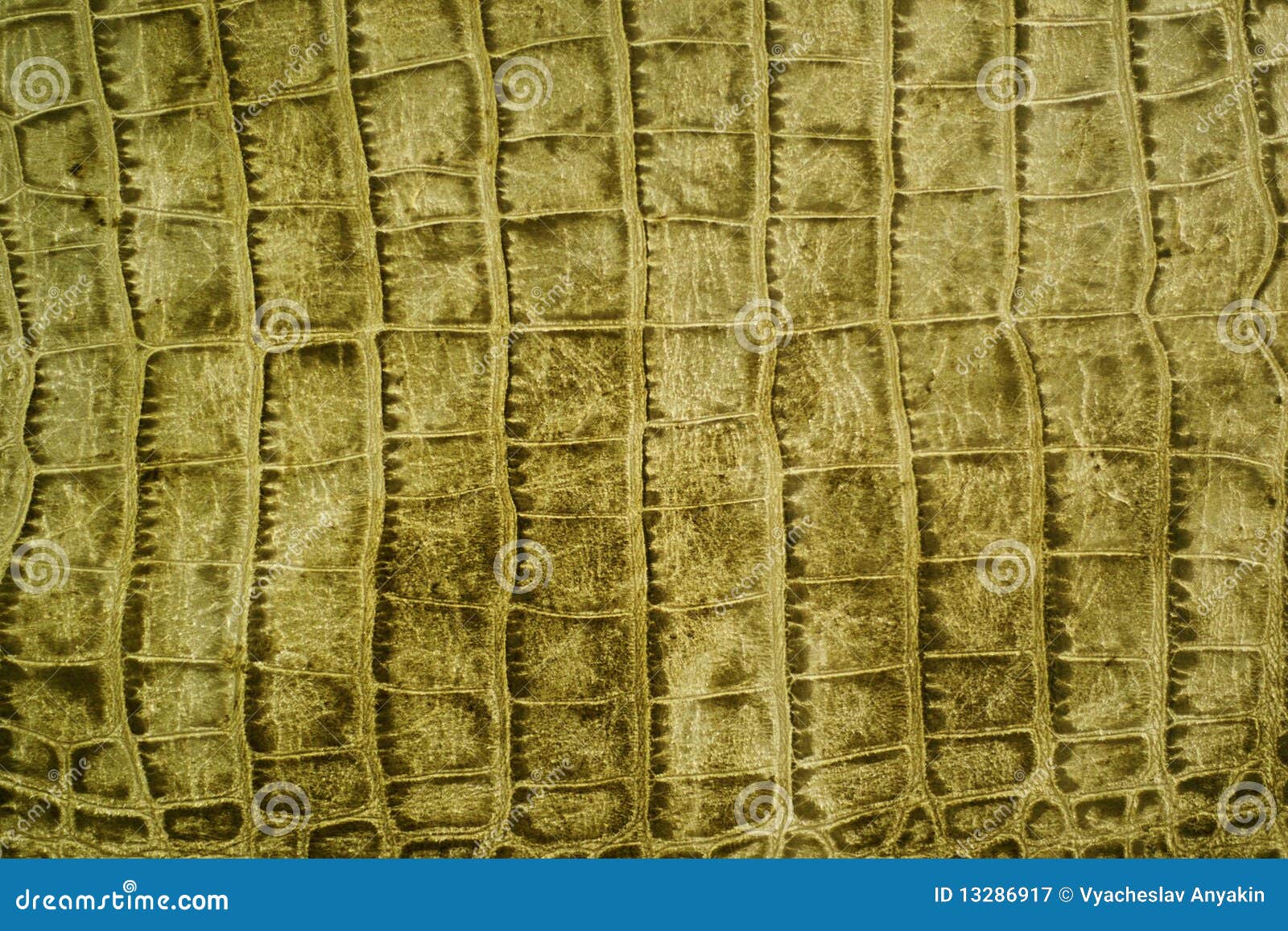 790 Red Crocodile Leather Texture Stock Photos - Free & Royalty-Free Stock  Photos from Dreamstime