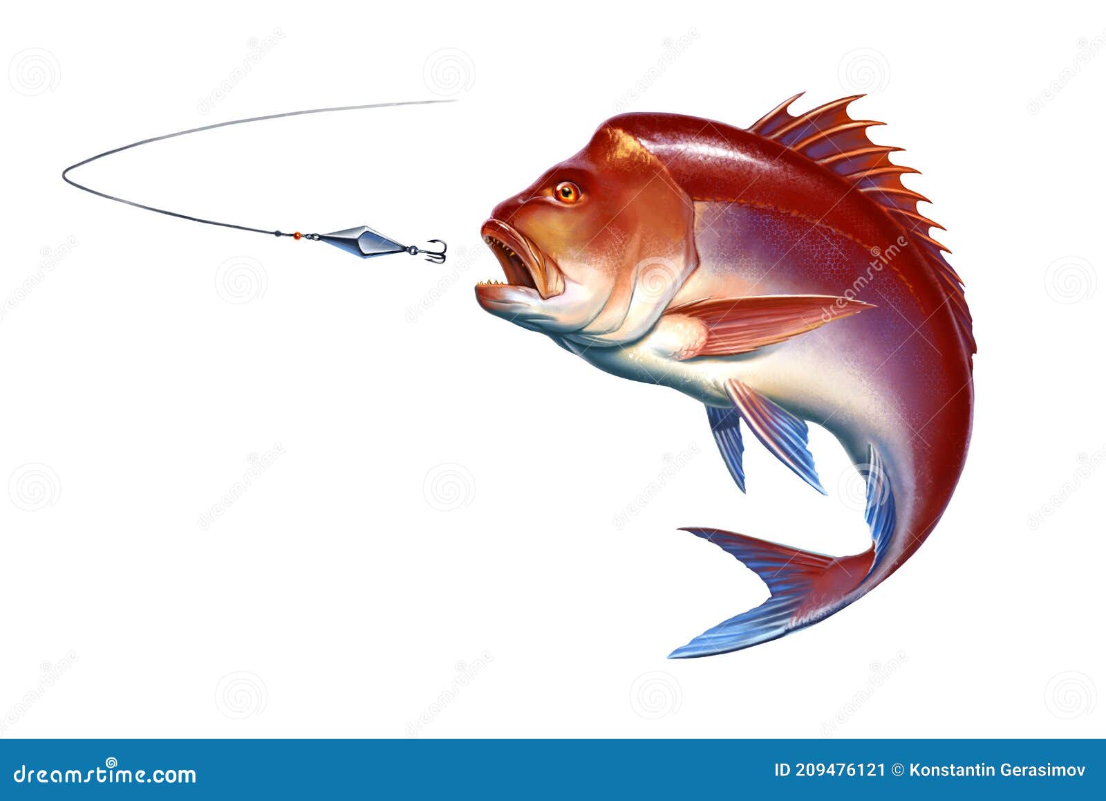 Snapper Red Big Attacks Fish Bait Jigs and Stakes on White Background  Isolate Realistic Illustration. Stock Illustration - Illustration of color,  animal: 209476121