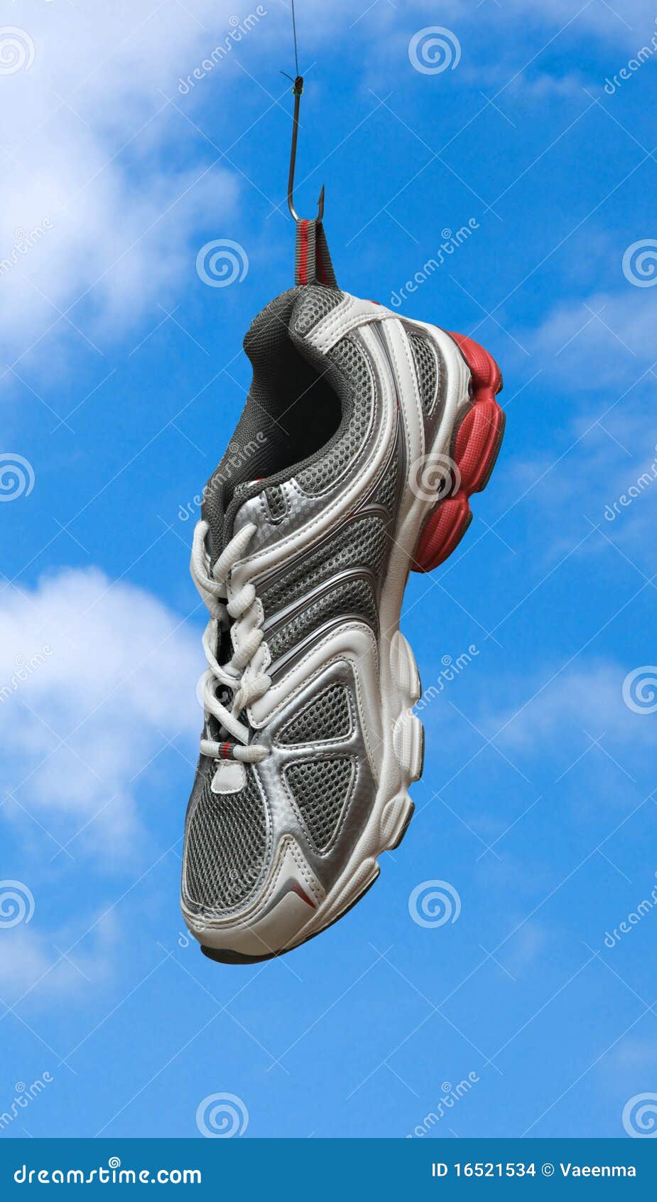 https://thumbs.dreamstime.com/z/sneaker-fishing-hook-16521534.jpg