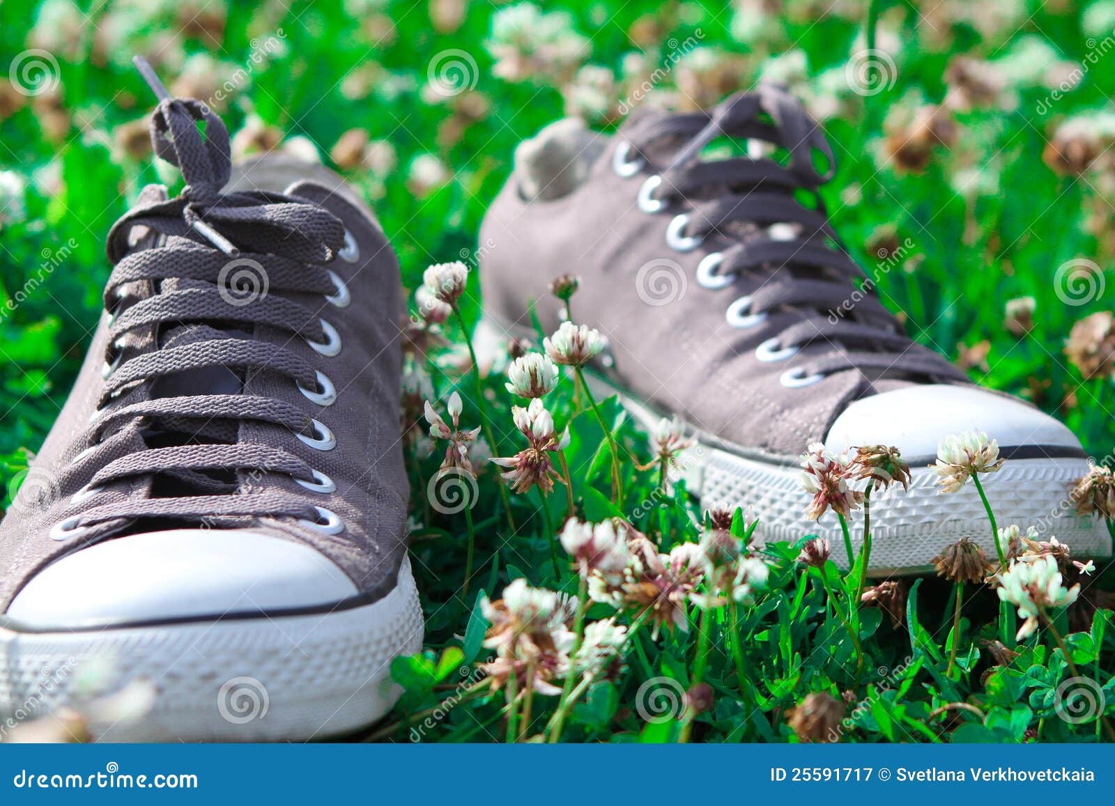 Sneakers on grass stock image. Image of pair, green, teenagers - 25591717