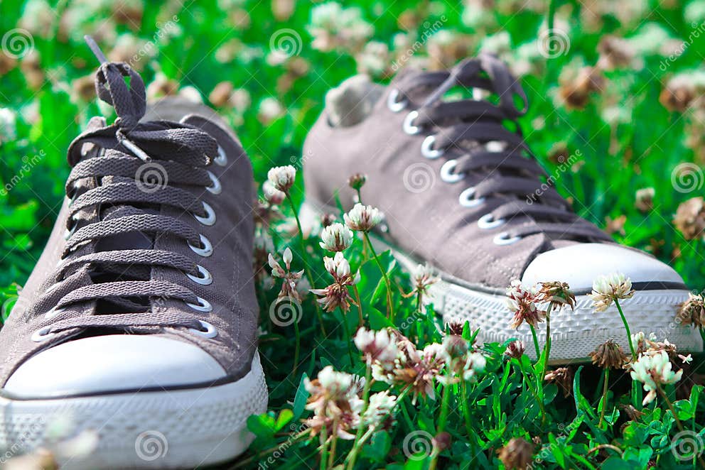 Sneakers on grass stock image. Image of pair, green, teenagers - 25591717
