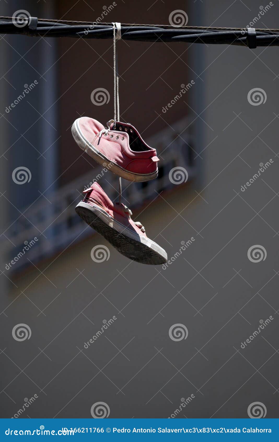 Sneakers hanging view stock photo. Image of litter, clear 166211766