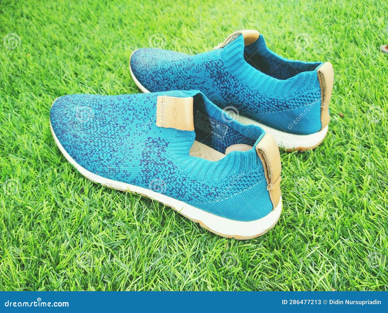 Sneakers are Shoes that are Usually Designed for Sports, Walking, Work