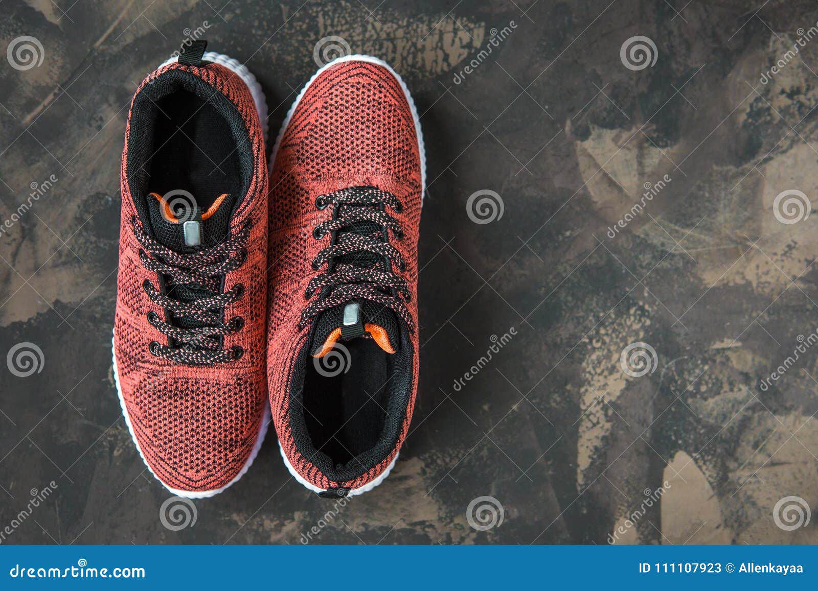 Sneakers for Woman. Footwear for Fitness and Sport Stock Image - Image ...