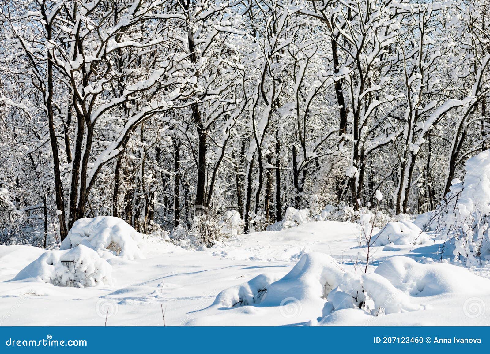 voor mij Pekkadillo kanaal Sneeuwlandschap. Rivier En Heuvels in Rusland Witte Winter Op Het Terrein  Stock Foto - Image of vorst, landschap: 207123460