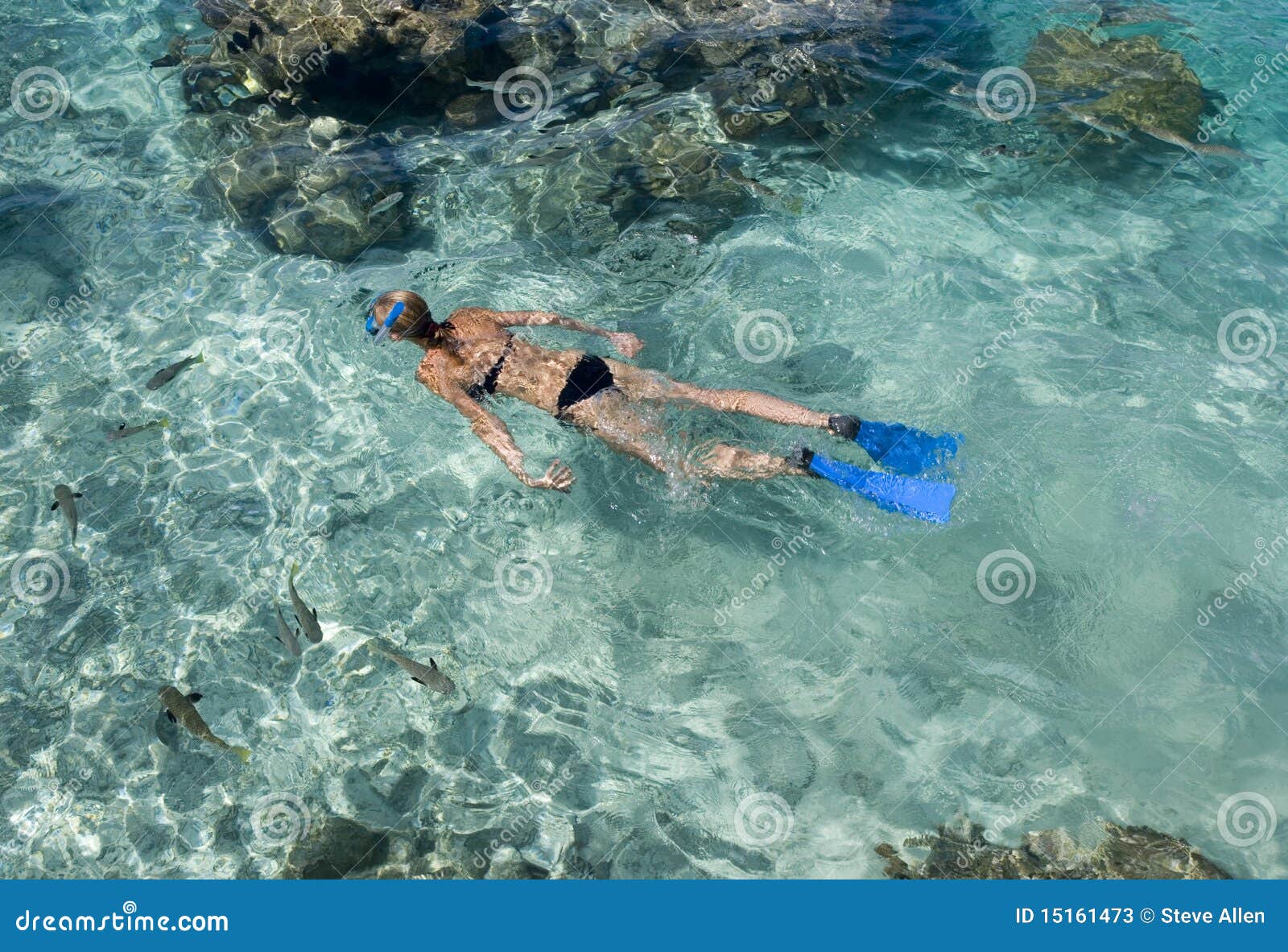 snorkeling in a tropical lagoon - bora bora