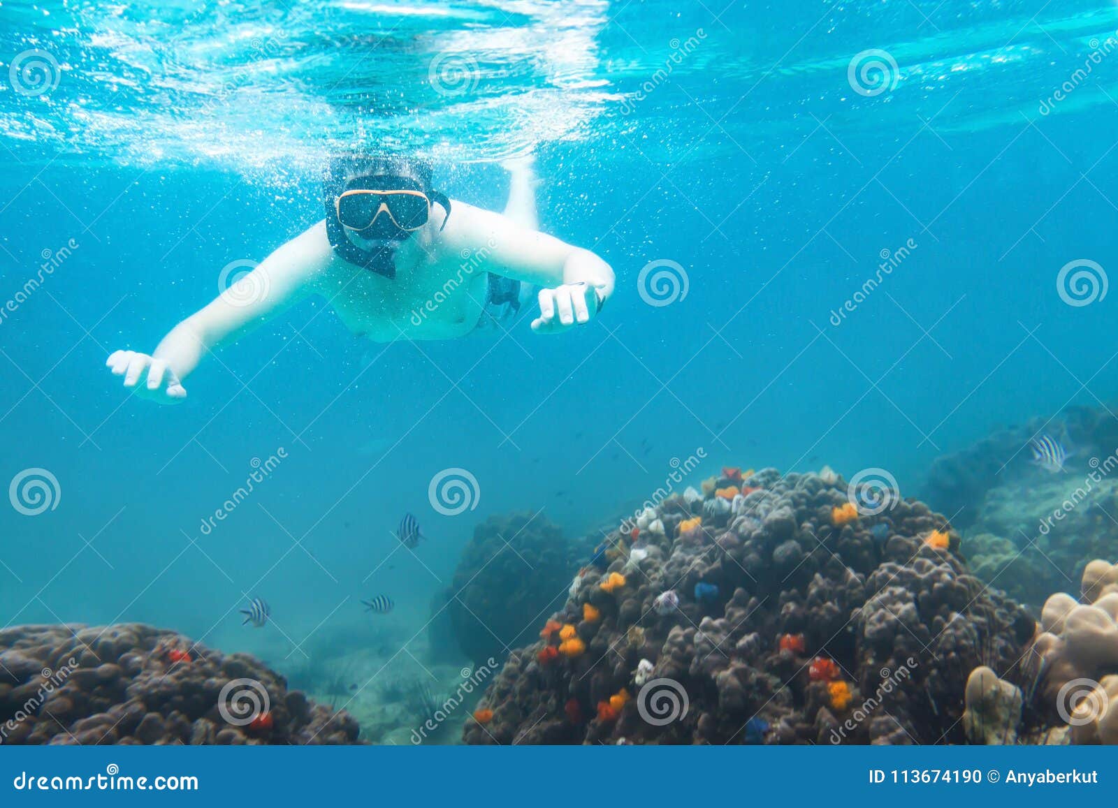 snorkeling underwater, active travels, snorkeler watching corals, swimming and diving