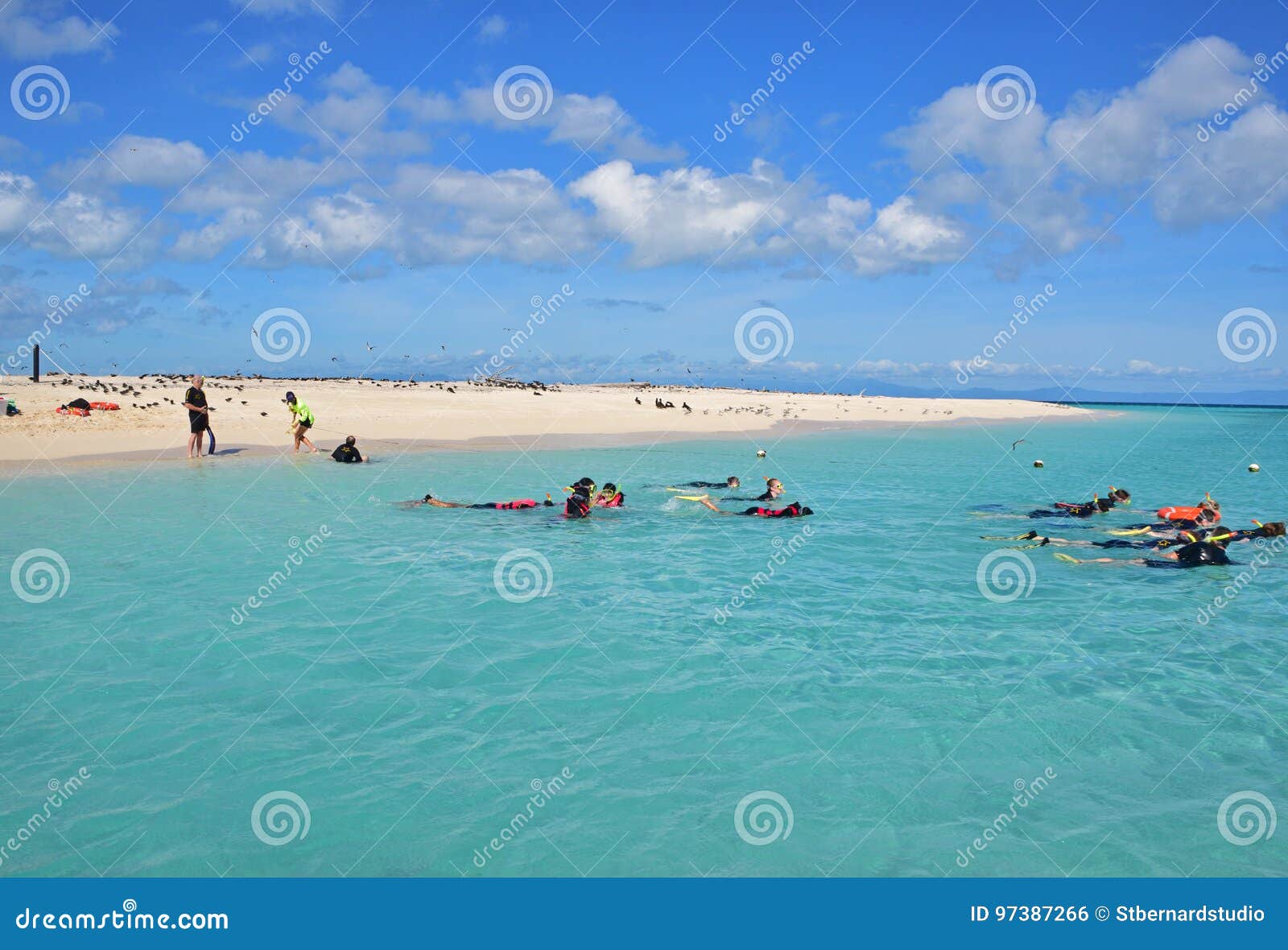 Snorkeling однодневной поездки туристский на cay michaelmas с красивым точным белым открытым морем песка и бирюзы. Cay Michaelmas, близко к наружной большой системе барьерного рифа, самые большие необжитых cays коралла в зоне пирамид из камней Экологические ограничения помещенные на cay уменьшили число посетителей причиняя остров и риф остается нетронутым в древнем положении