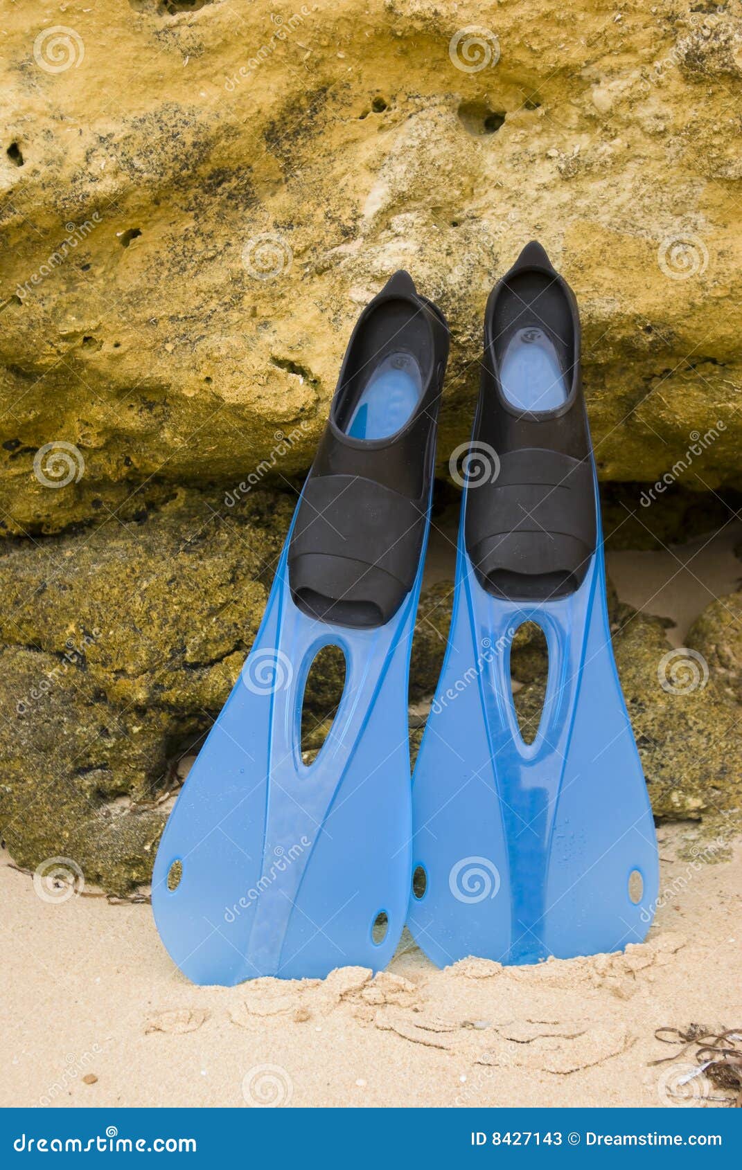 Snorkelling Flippers stock image. Image of protection 8427143