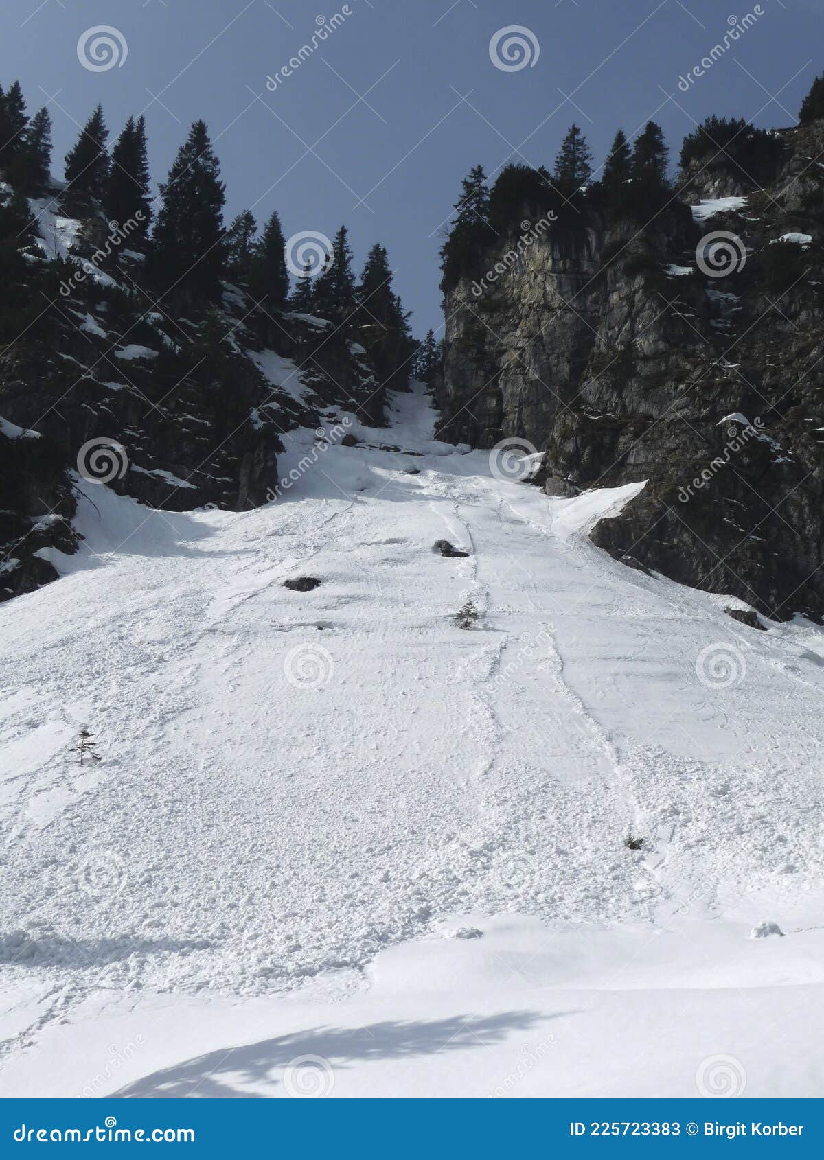 snow avalance in bavarian alps, germany, in wintertime