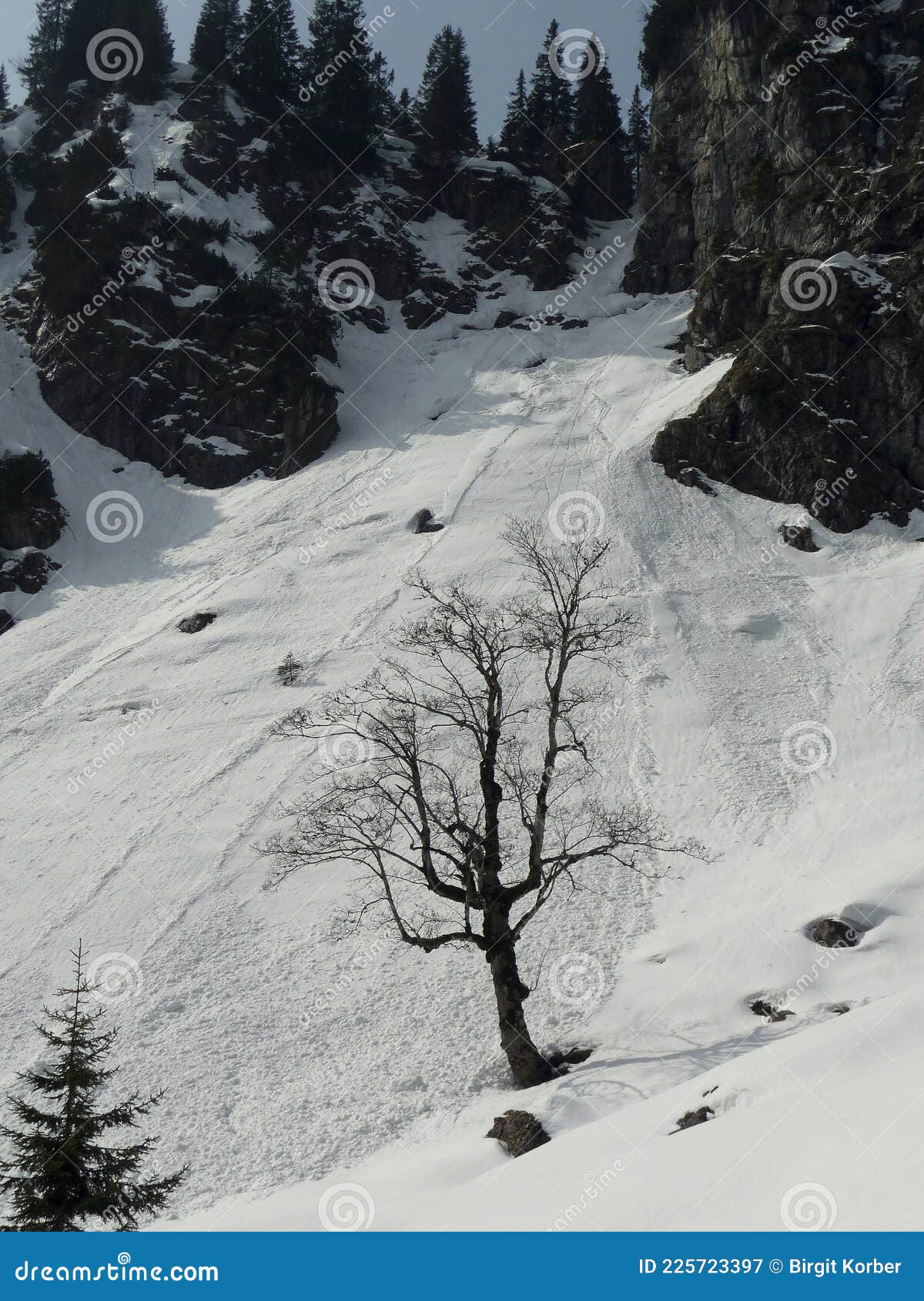 snow avalance in bavarian alps, germany, in wintertime
