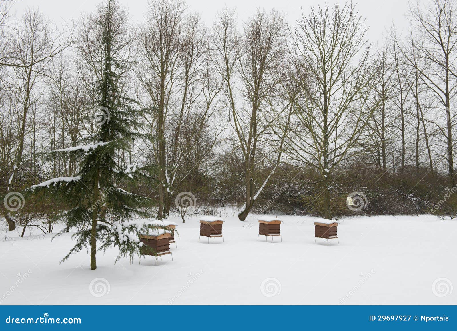 Snow and Beekeeping stock image. Image of beekeeping 29697927