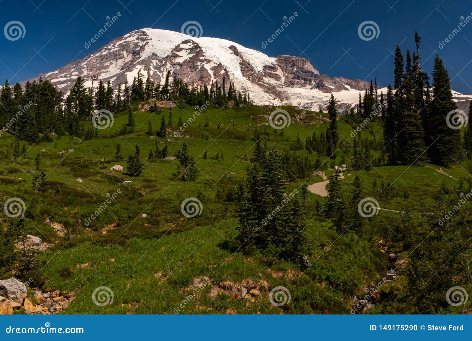 A Snow Capped Mountain Mount Rainier At Spring Time With A Lush Green