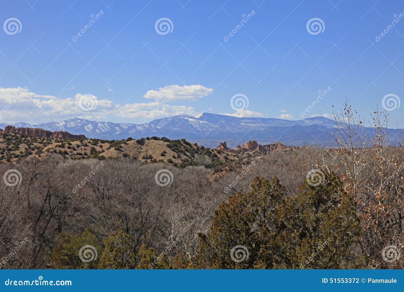 Snow Capped Mountains New Mexico Stock Photo Image of juniper, desert