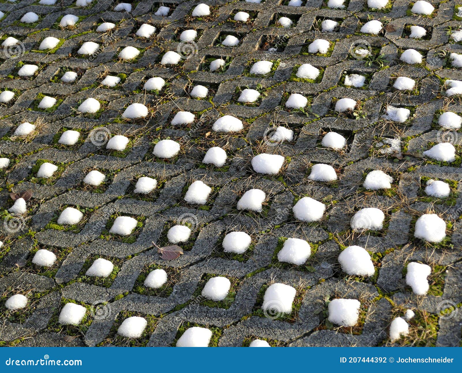 Snow Caps on Grass Pavers in Winter Stock Photo Image of concrete, parking 207444392