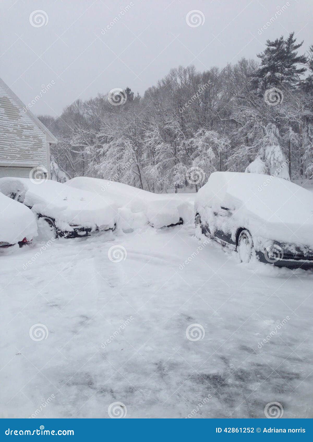 Snow cars stock photo. Image of driveway, snow, shovel - 42861252