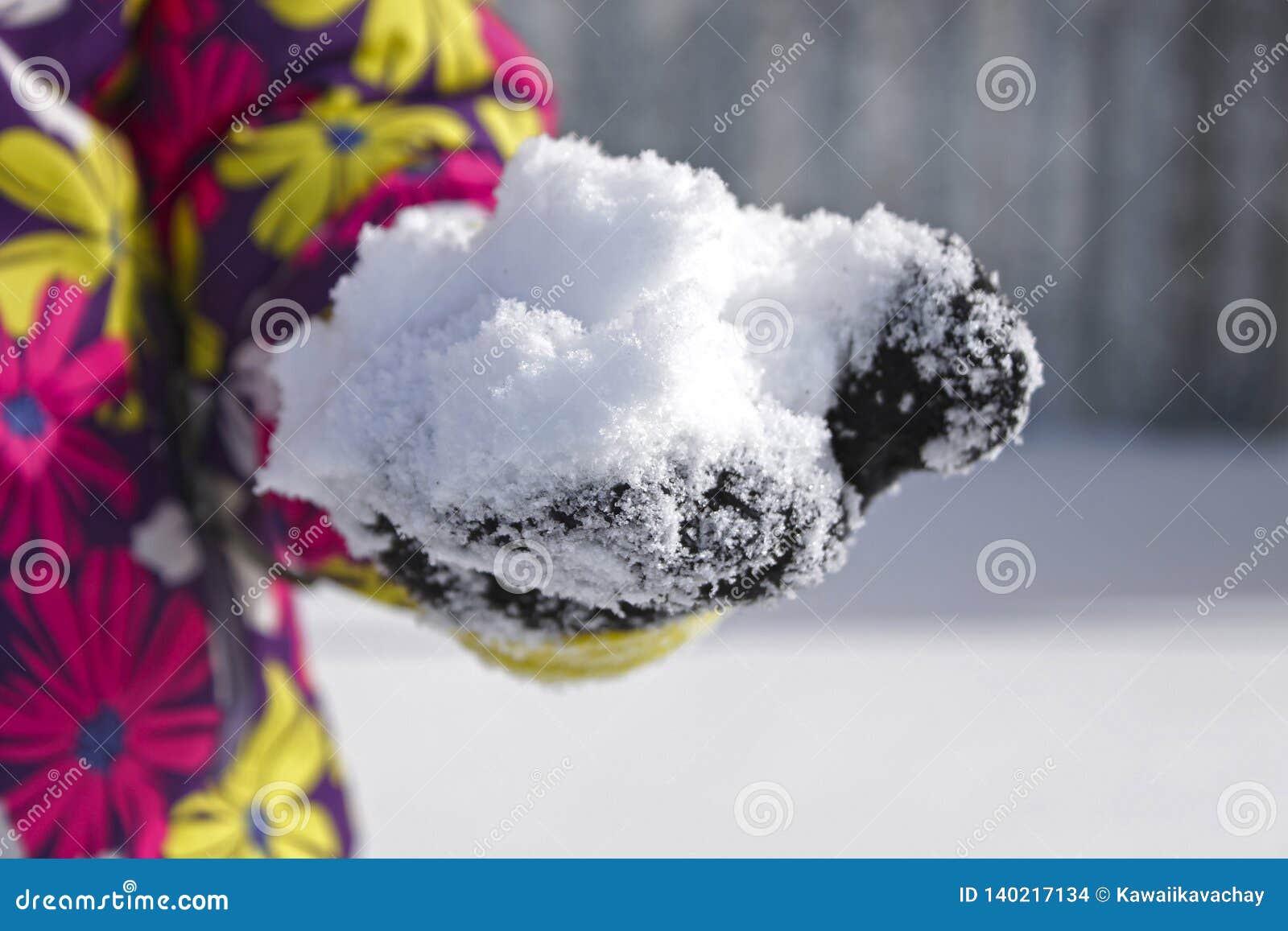 Snow in the Children`s Hand Stock Photo - Image of closeup, white ...