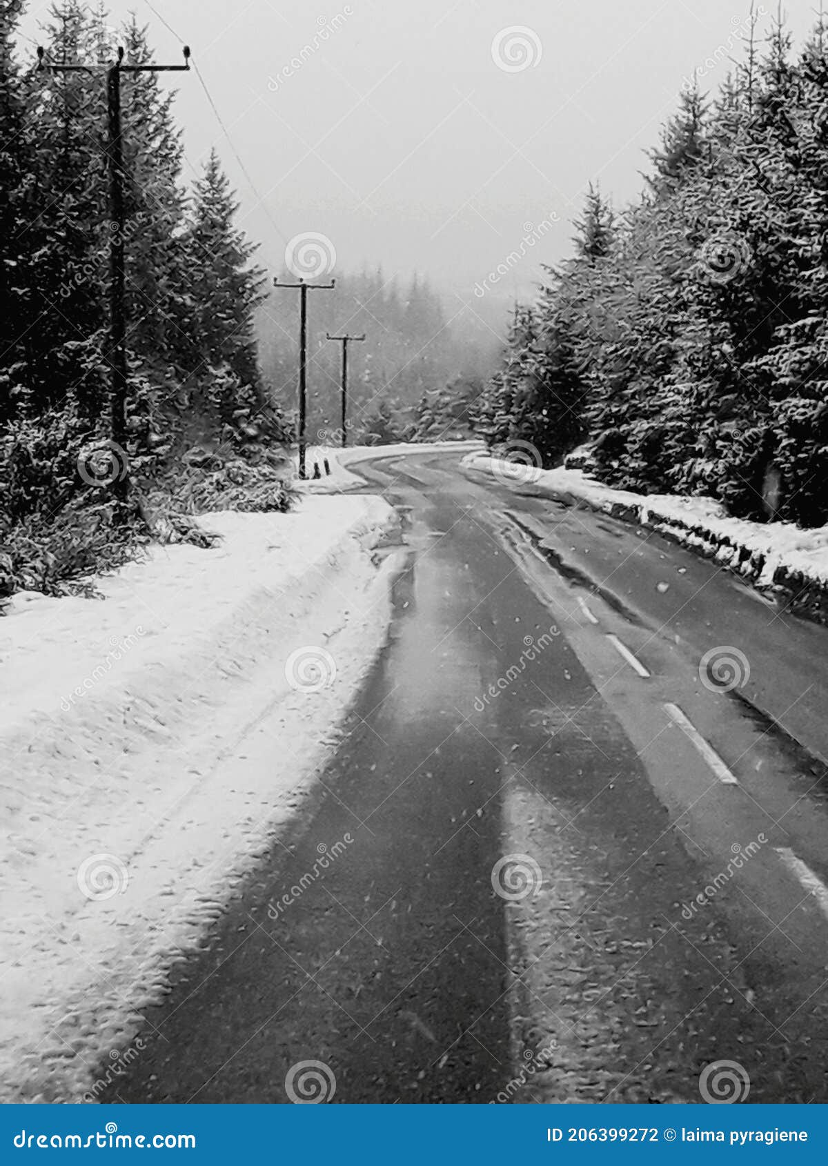 snow covered road and winter fairy tale