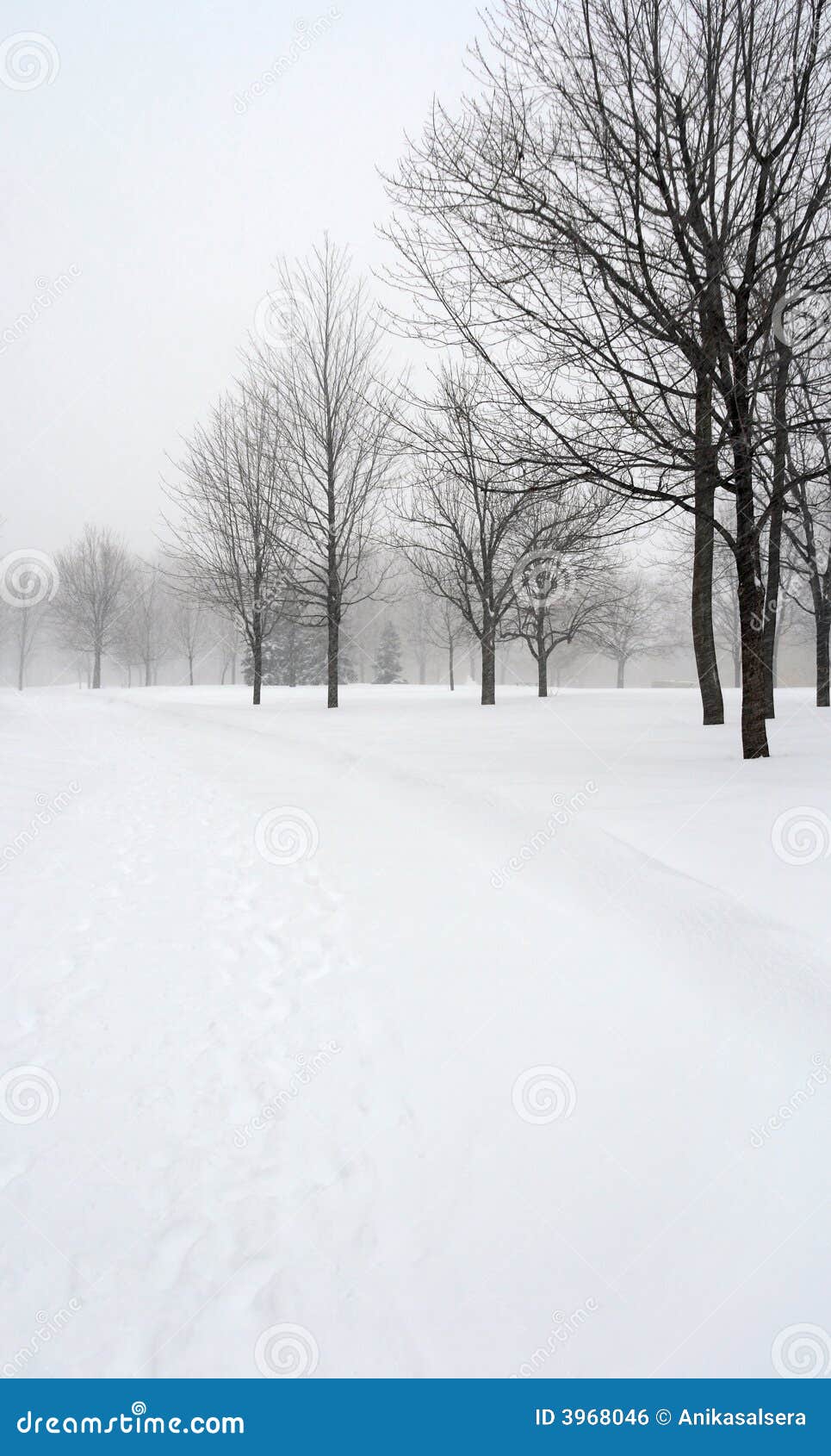 hop alley winter alr hop alley winter alr
