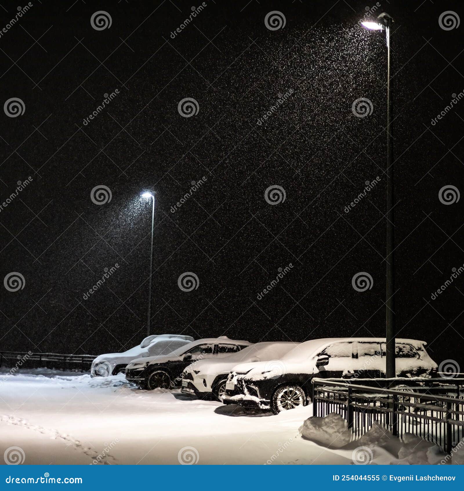 Snowcovered Cars are Parked Under the Night Lights in the Snowfall