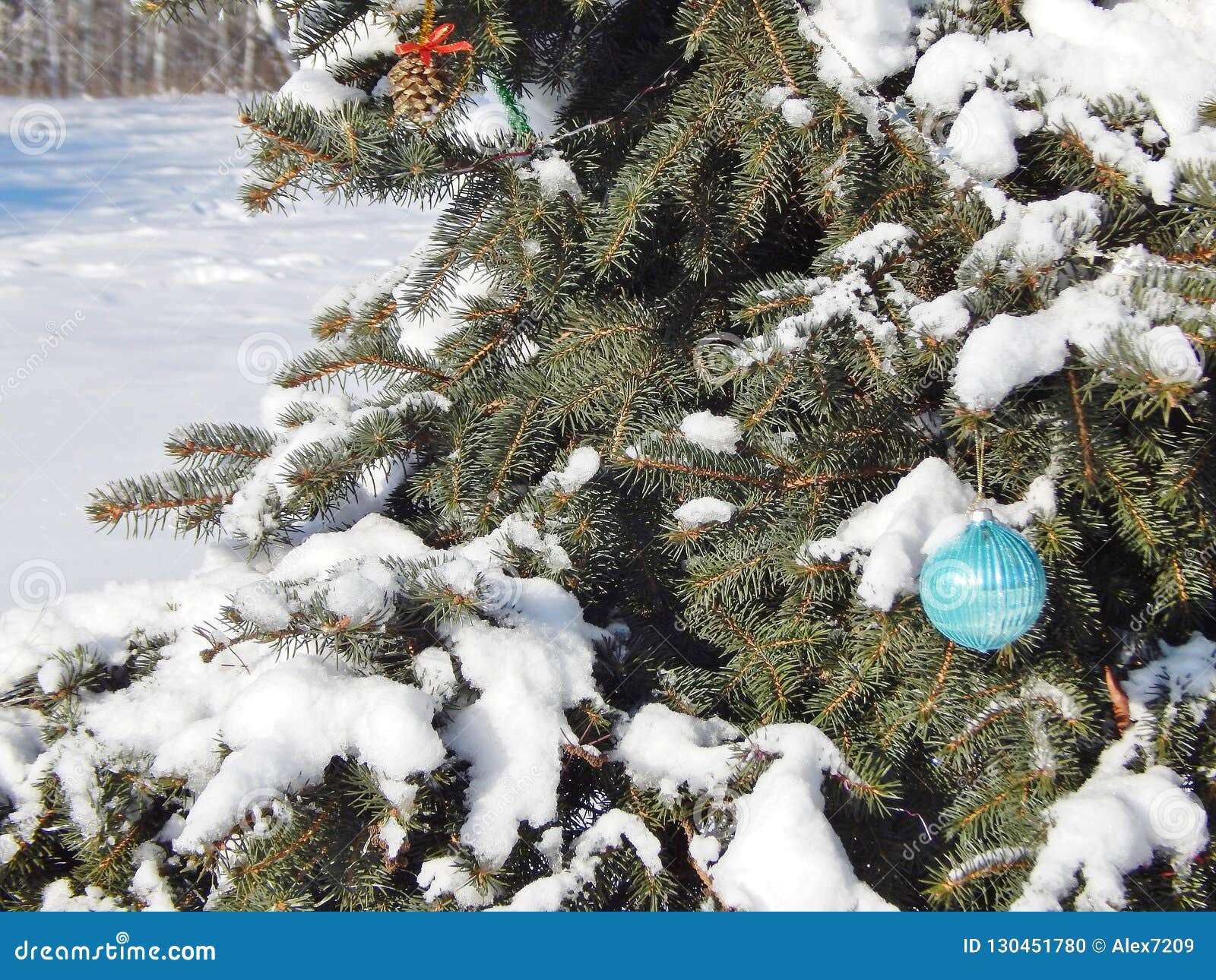Snow Covered Christmas Tree Stock Photo Image of scene, holiday