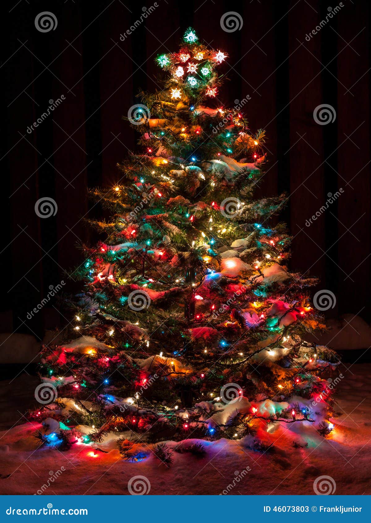 Snow Covered Christmas Tree Stock Image Image of festive, night 46073803