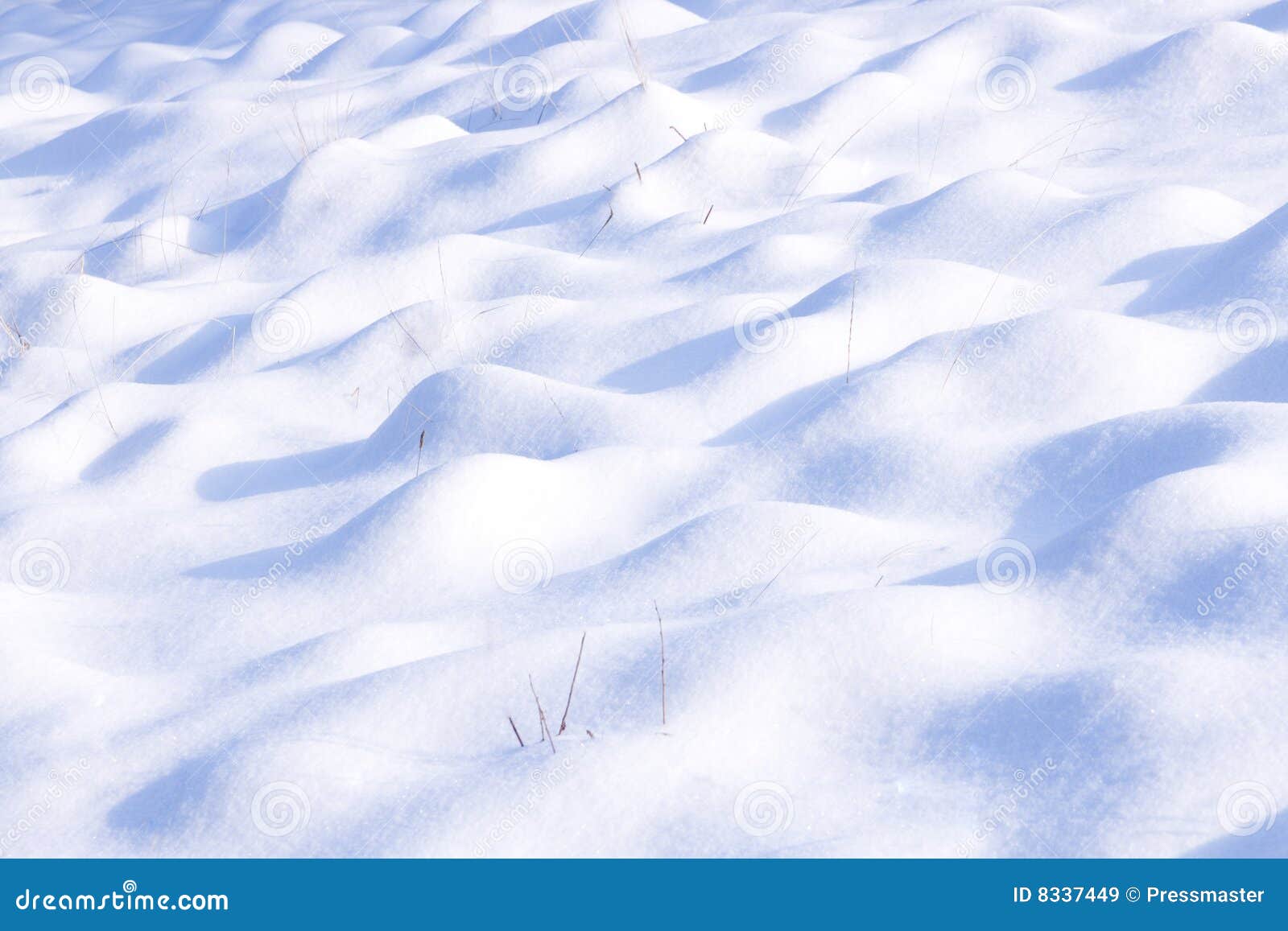 Download Snow-covered Ground Royalty Free Stock Images - Image: 8337449